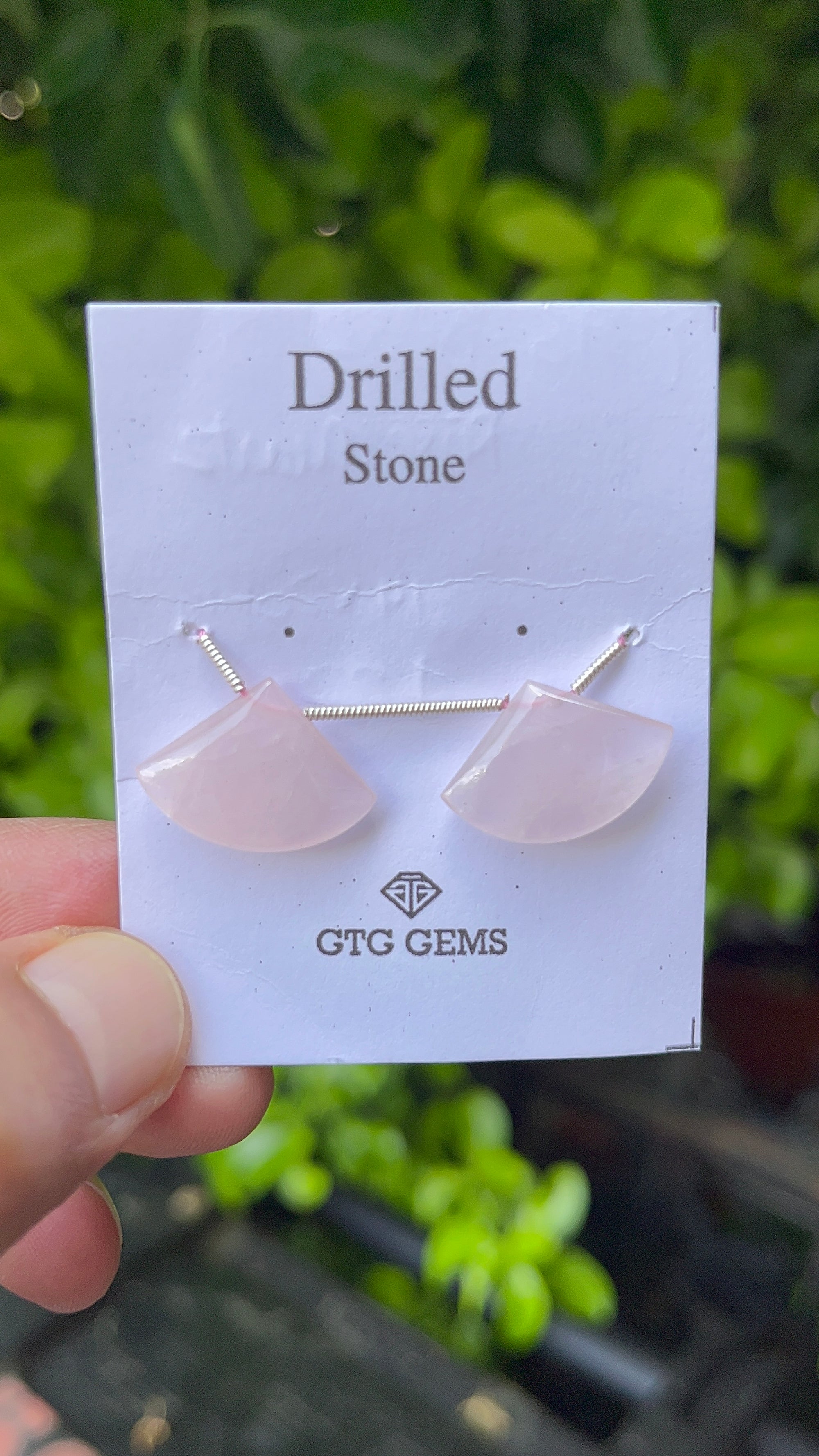 Drilled Rose Quartz Matching Pair 20x 12mm Approximately 17.20 Carat