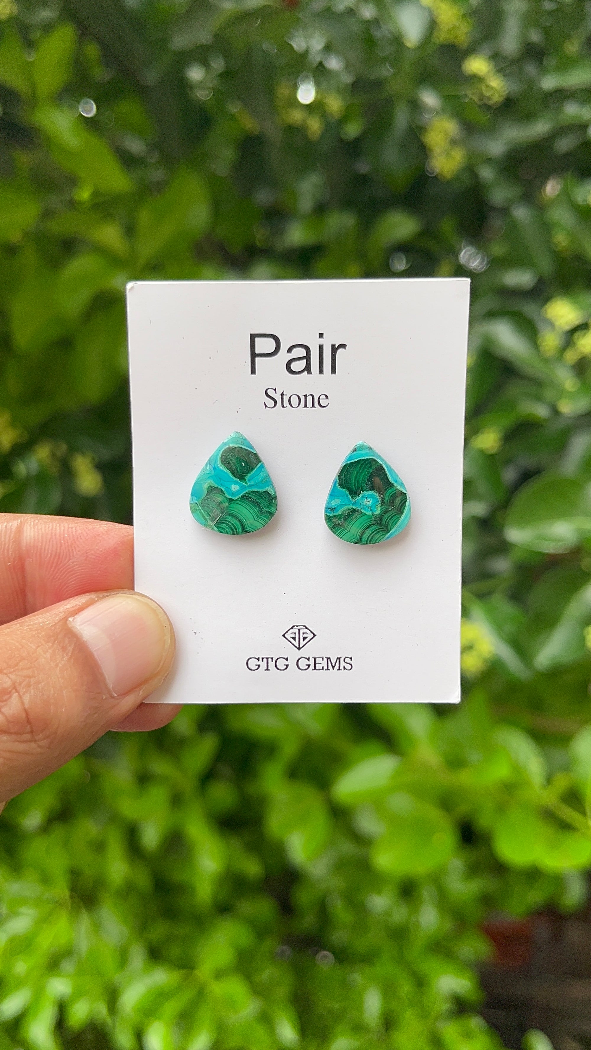 Chrysocolla Malachite, Cabochon Matching Pair 15x13mm, Approximately 10.50 carat (GTG-MCM-1)