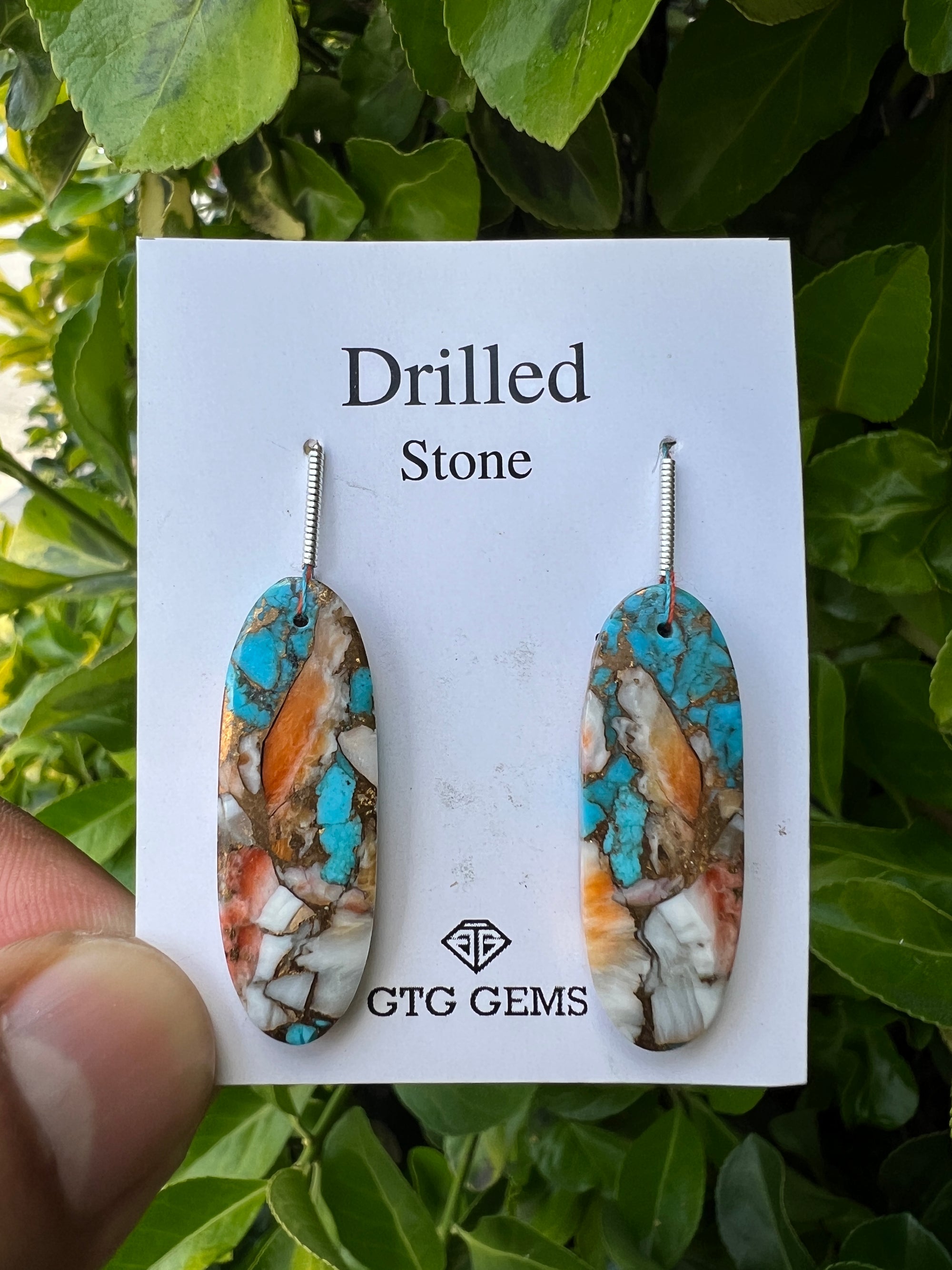 Drilled Oyster Turquoise, Matching pair 34x11 mm Approximately 34 Carat (GTG-DOT-17)