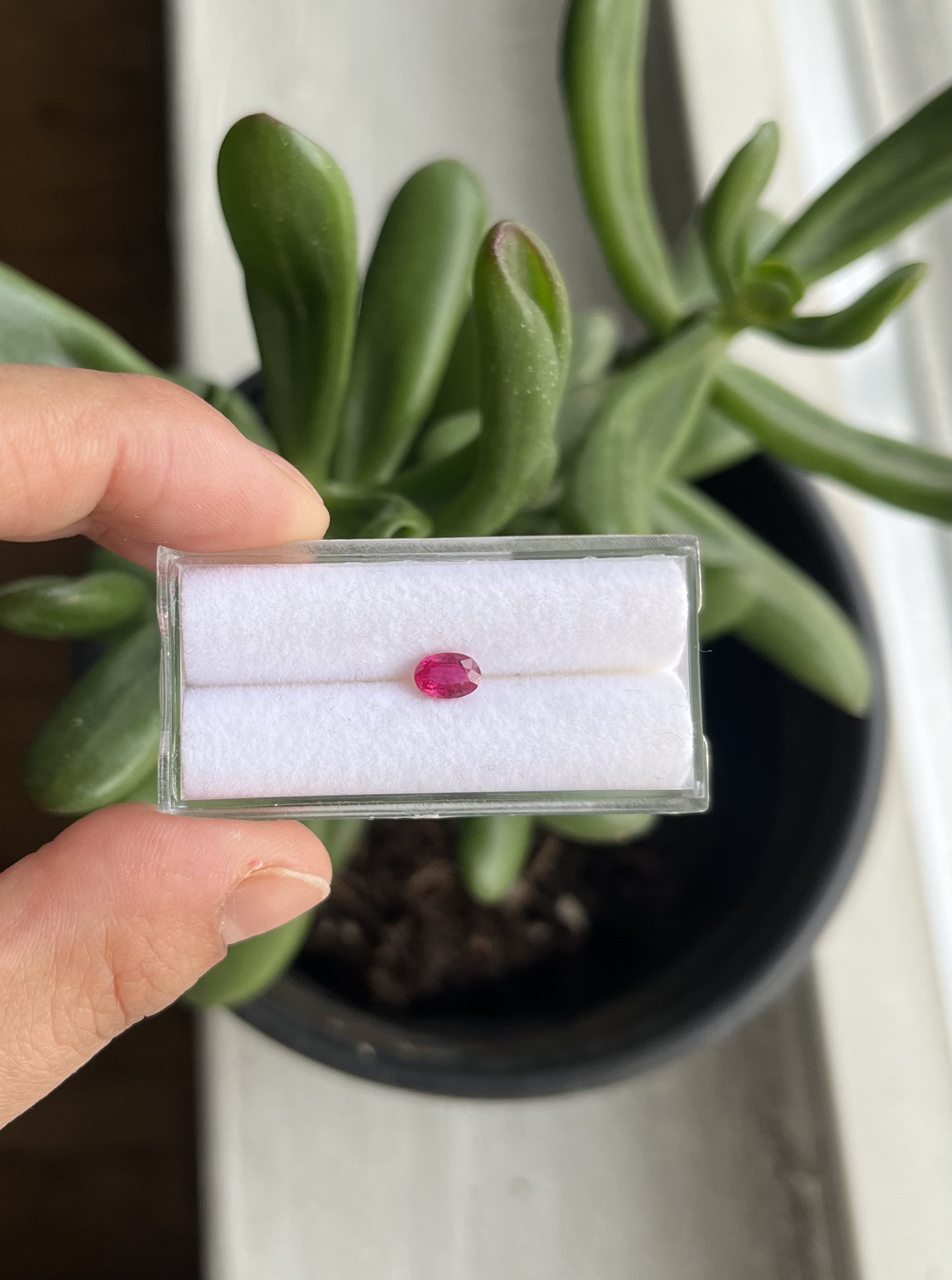 Natural unheated Ruby Oval Shape 5.9x4x2.6mm Approximately 0.58Carat