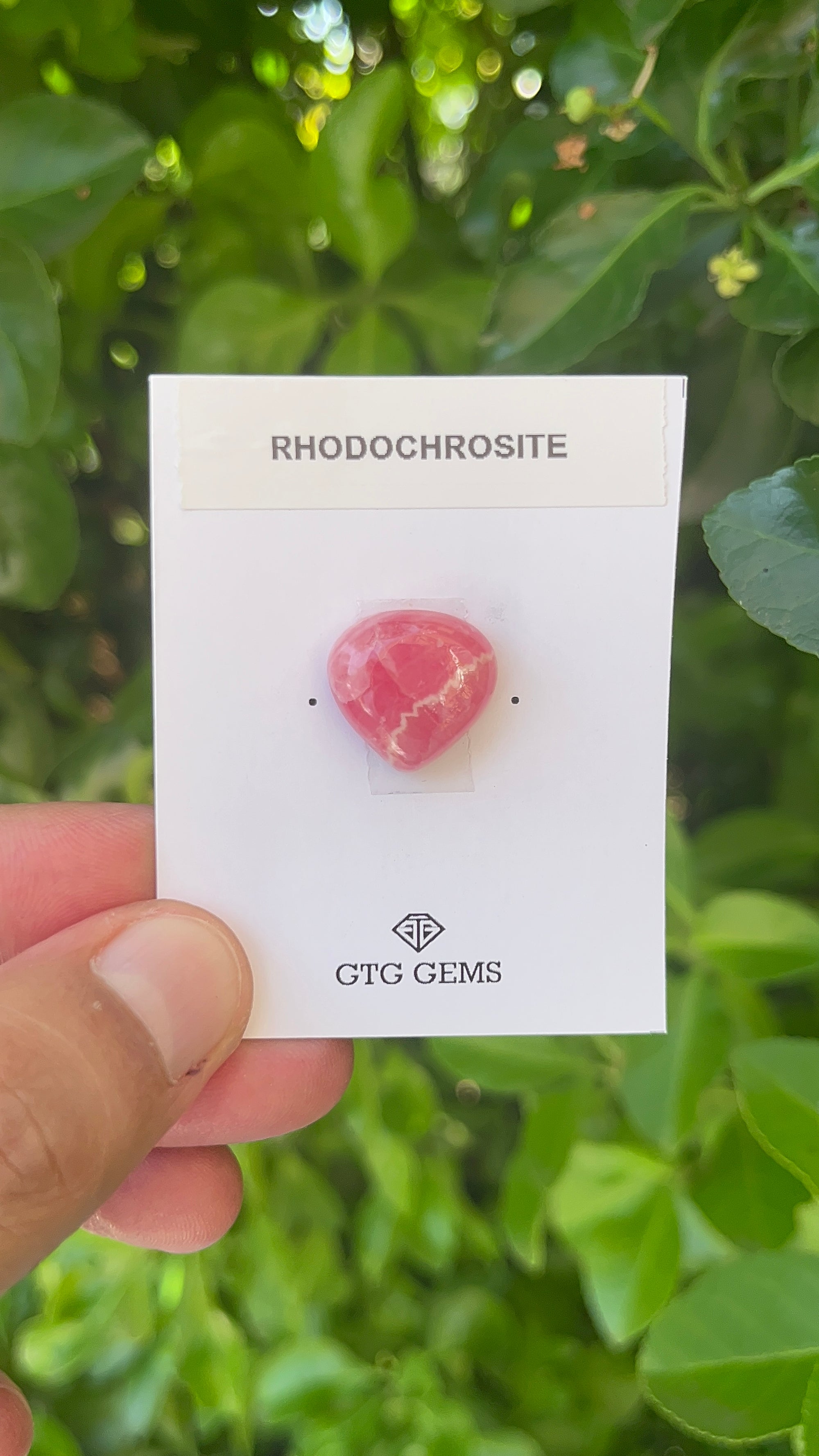 Rhodochrosite Cabochon, Rhodochrosite 16x16 mm, Approximately 16.80 carat (GTG-RCH-45)