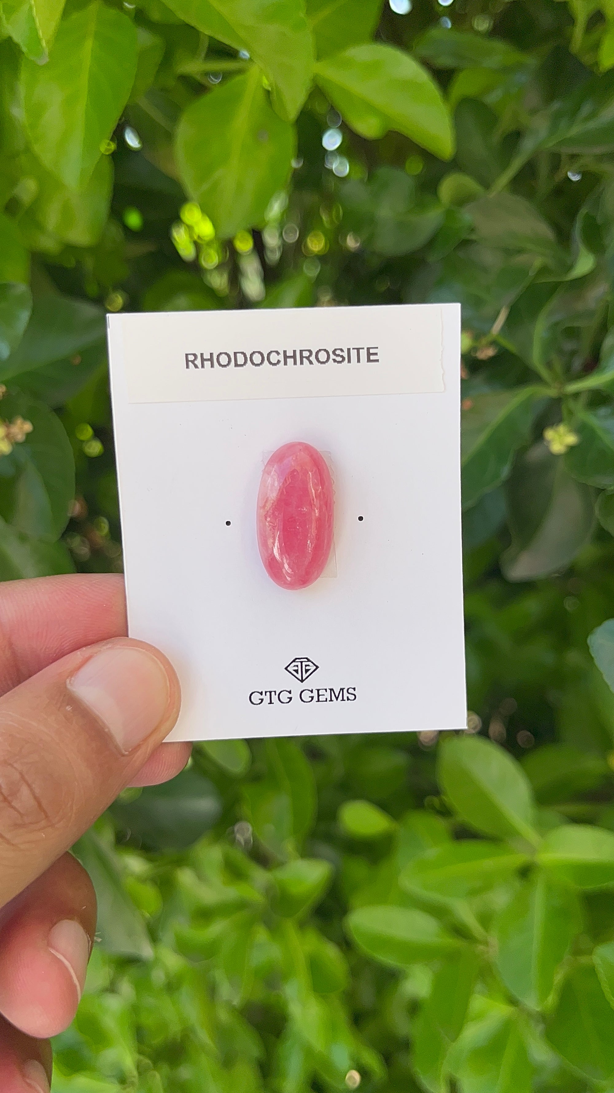 Rhodochrosite Cabochon, Rhodochrosite 22x11 mm, Approximately 16.58 carat (GTG-RCH-34)