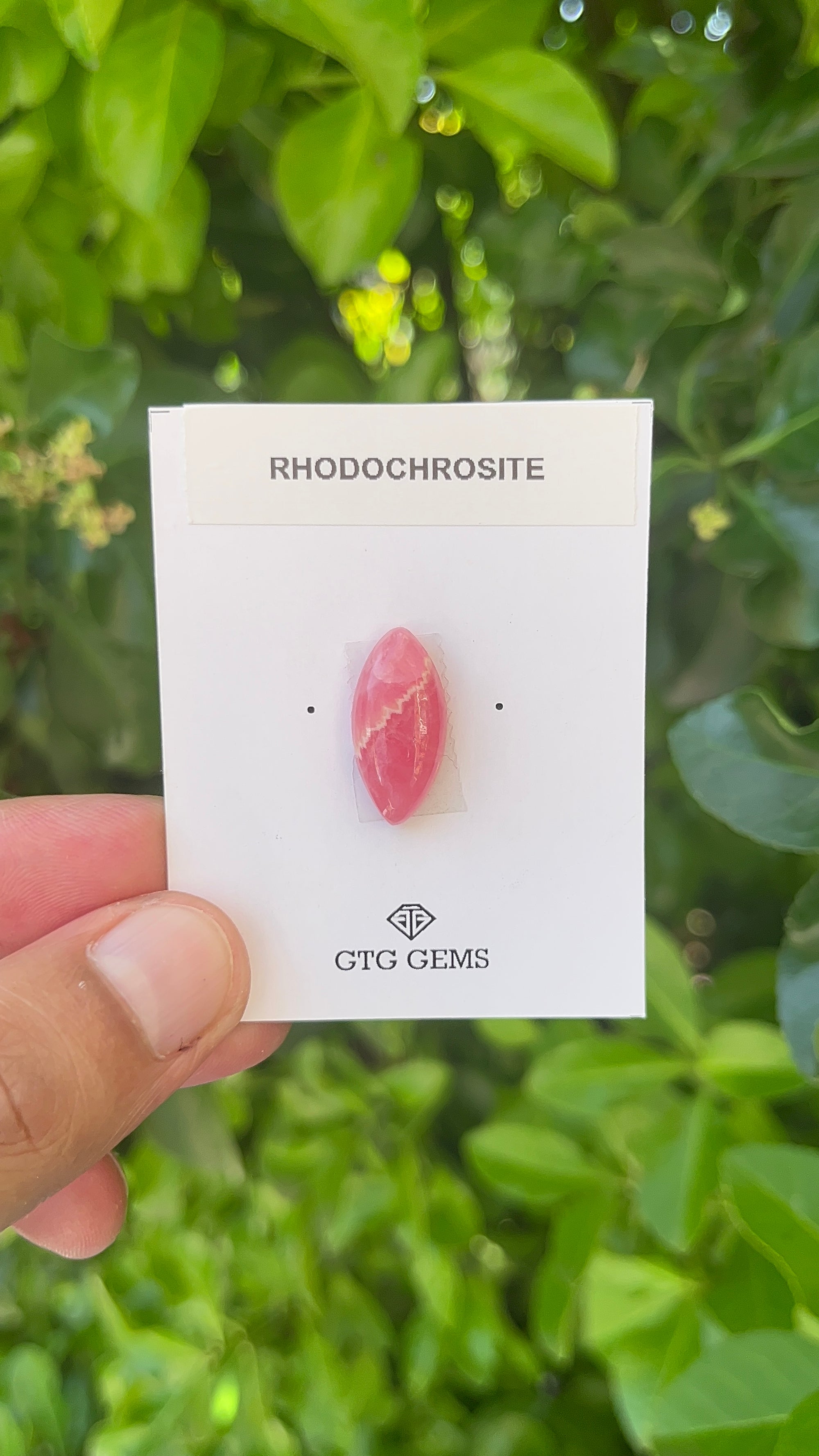 Rhodochrosite Cabochon, Rhodochrosite 21x10 mm, Approximately 11.10 carat (GTG-RCH-54)