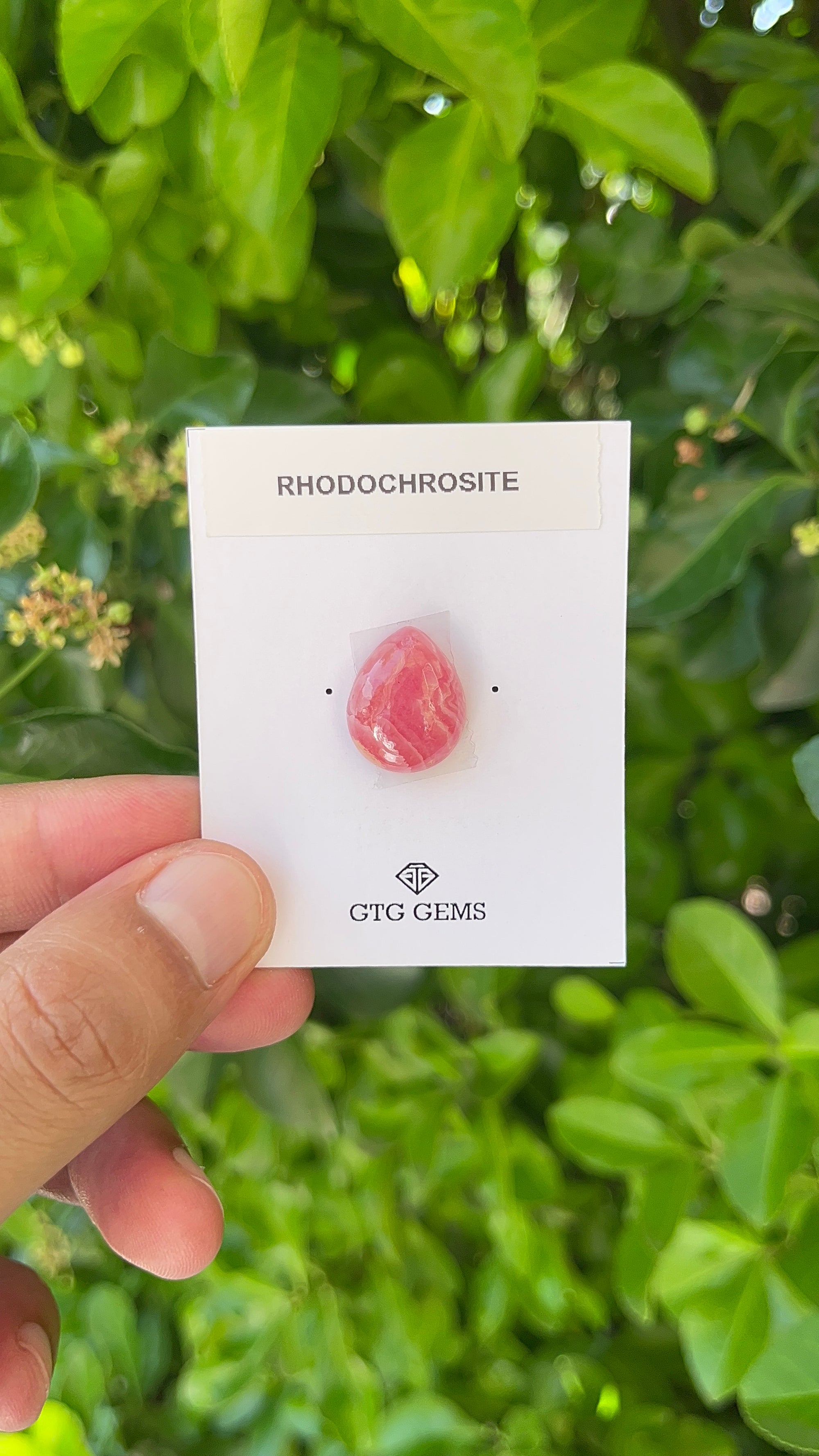 Rhodochrosite Cabochon, Rhodochrosite 17x14 mm, Approximately 16.30 carat (GTG-RCH-20)