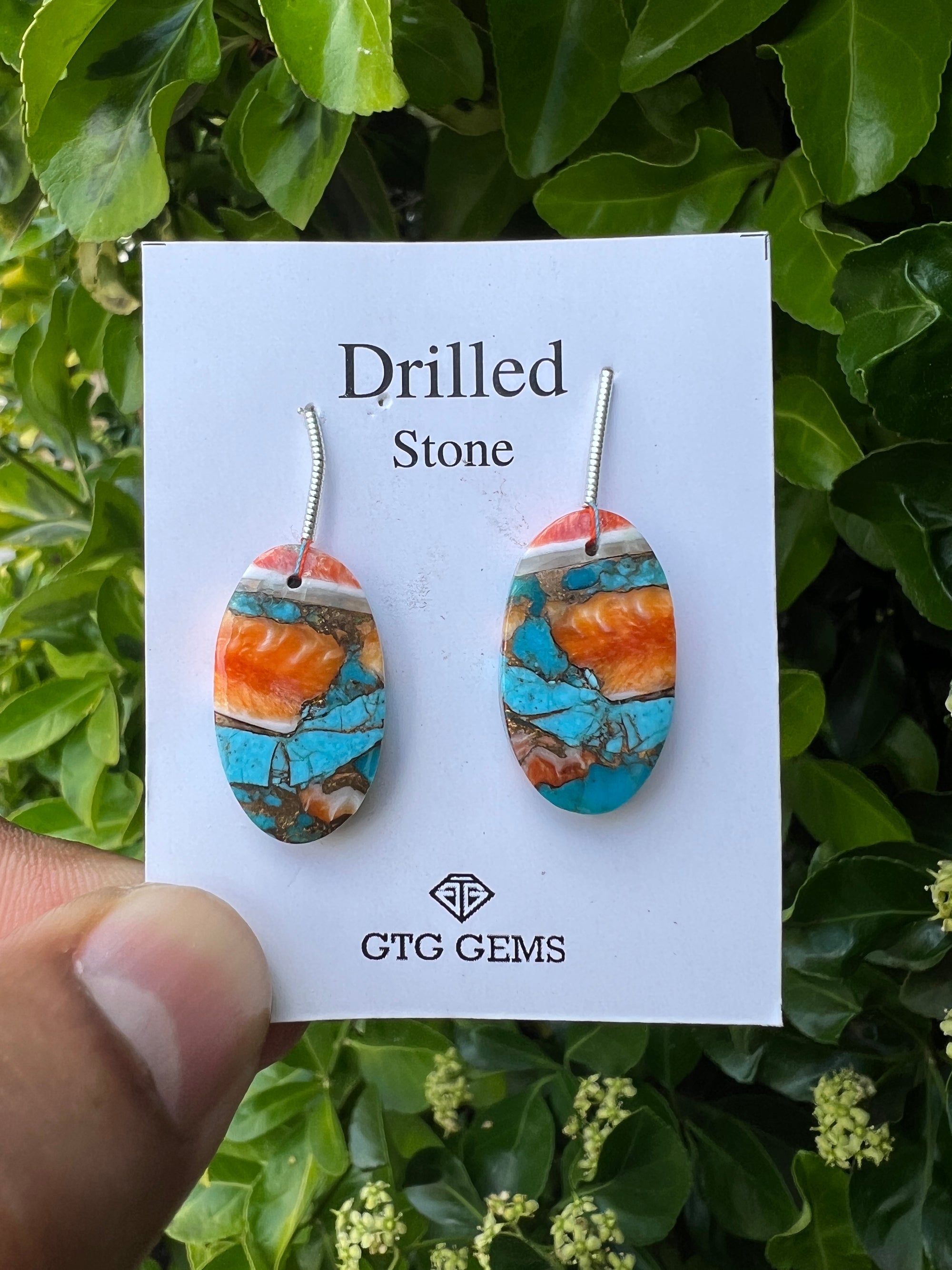 Drilled Oyster Turquoise, Matching pair 24x13 mm Approximately 27 Carat (GTG-DOT-16)