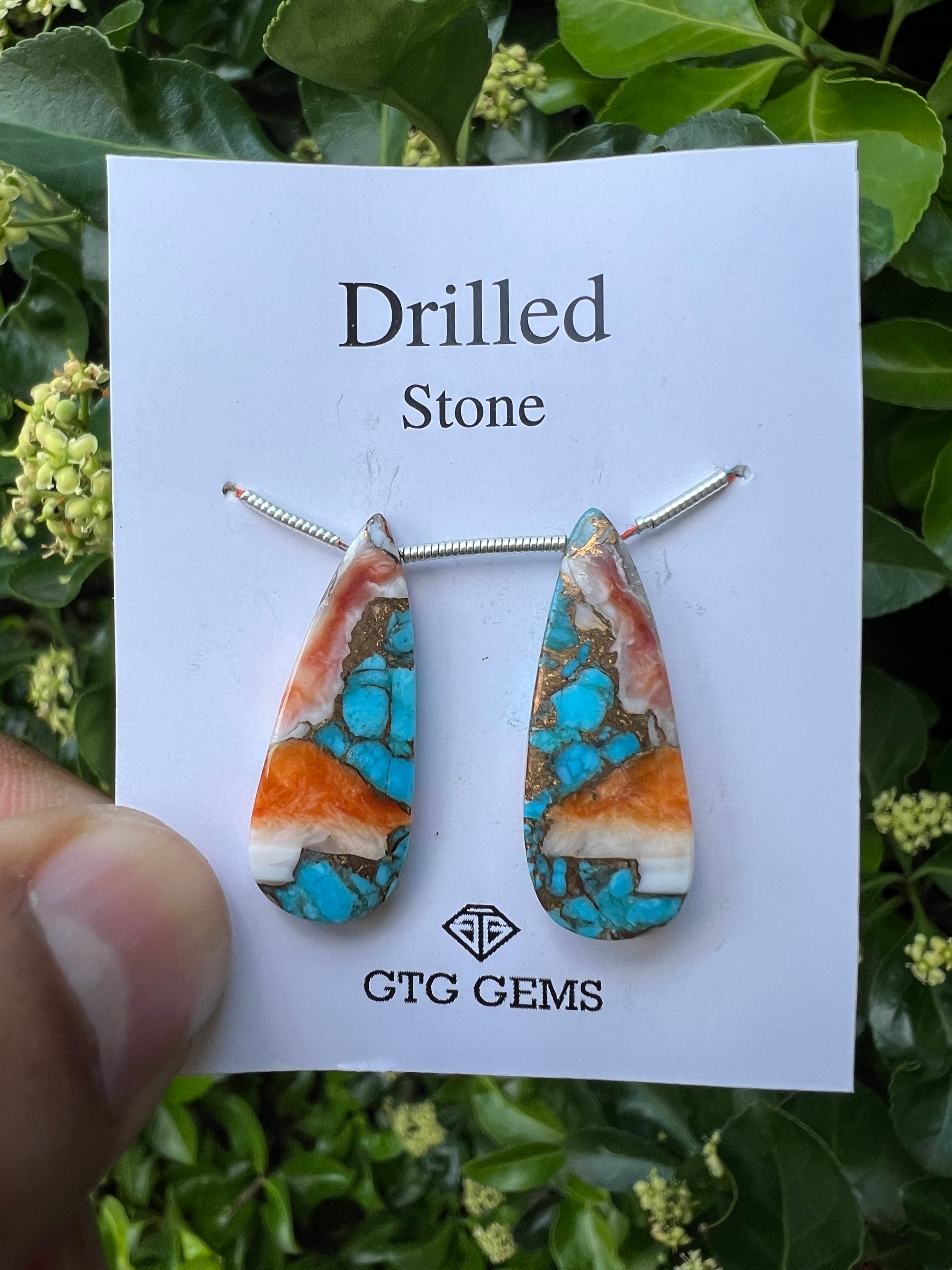 Drilled Oyster Turquoise, Matching pair 28x11 mm Approximately 21 Carat (GTG-DOT-15)