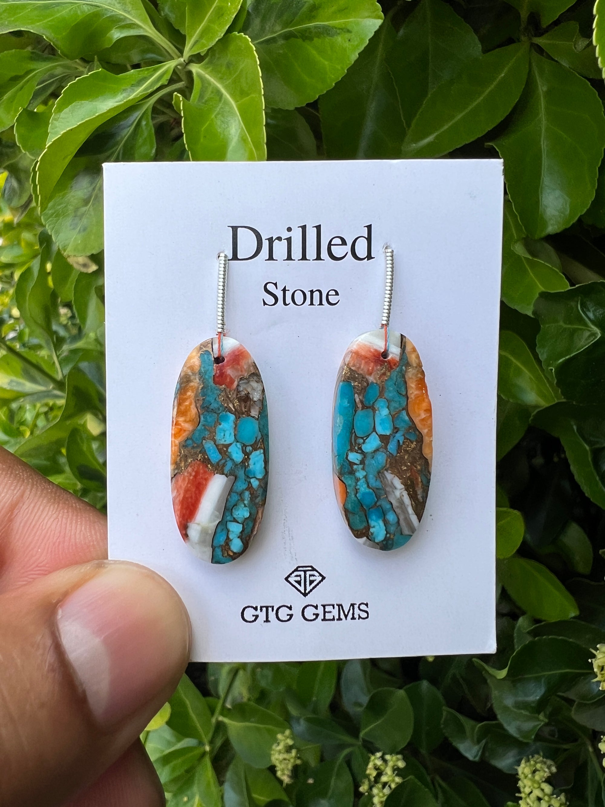 Drilled Oyster Turquoise, Matching pair 27x12 mm Approximately 28 Carat (GTG-DOT-22)