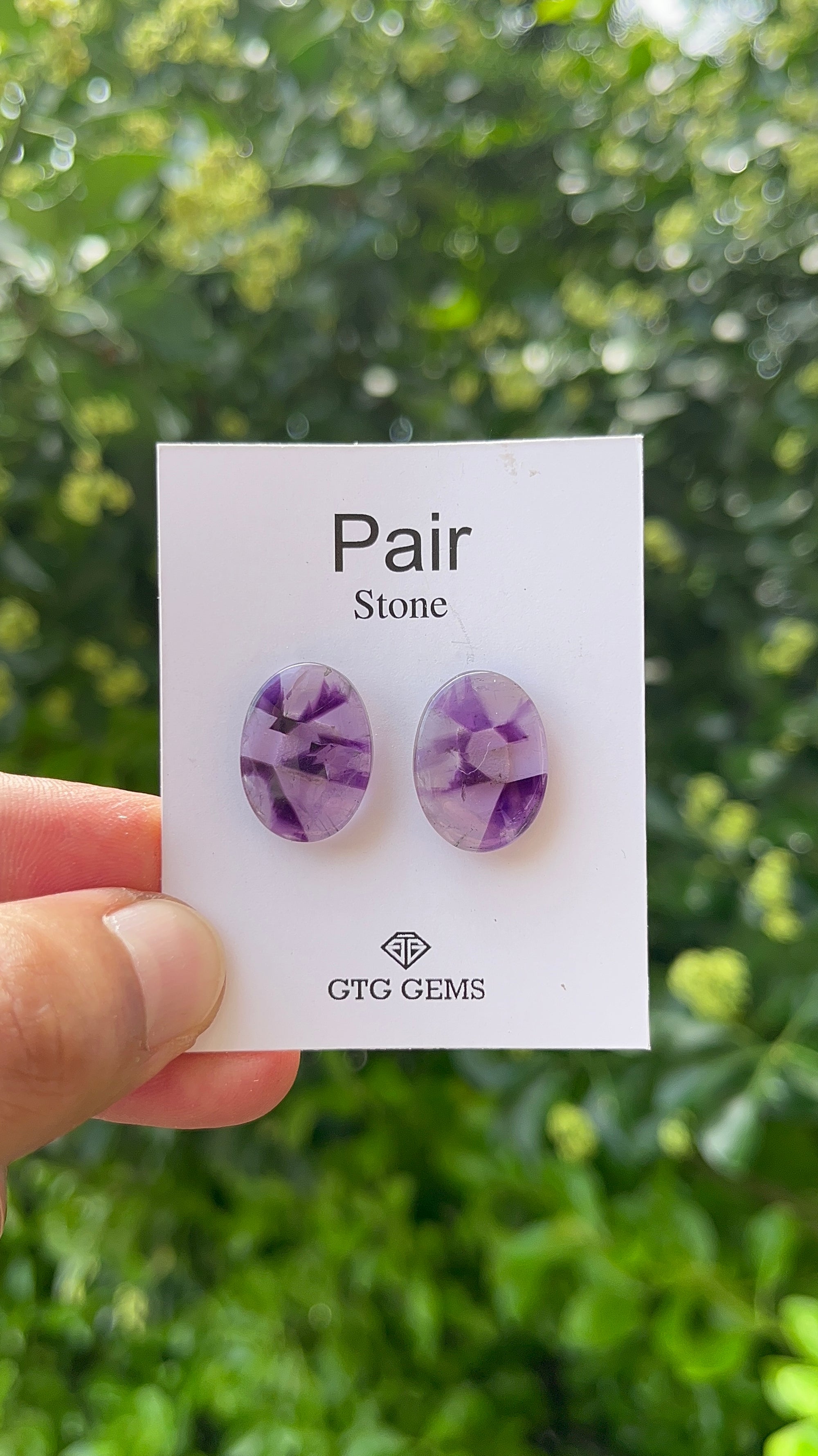 Star Amethyst Matching Pair Cabochon 19 x 14, Approximately 19 Carat (GTG-AM-10)