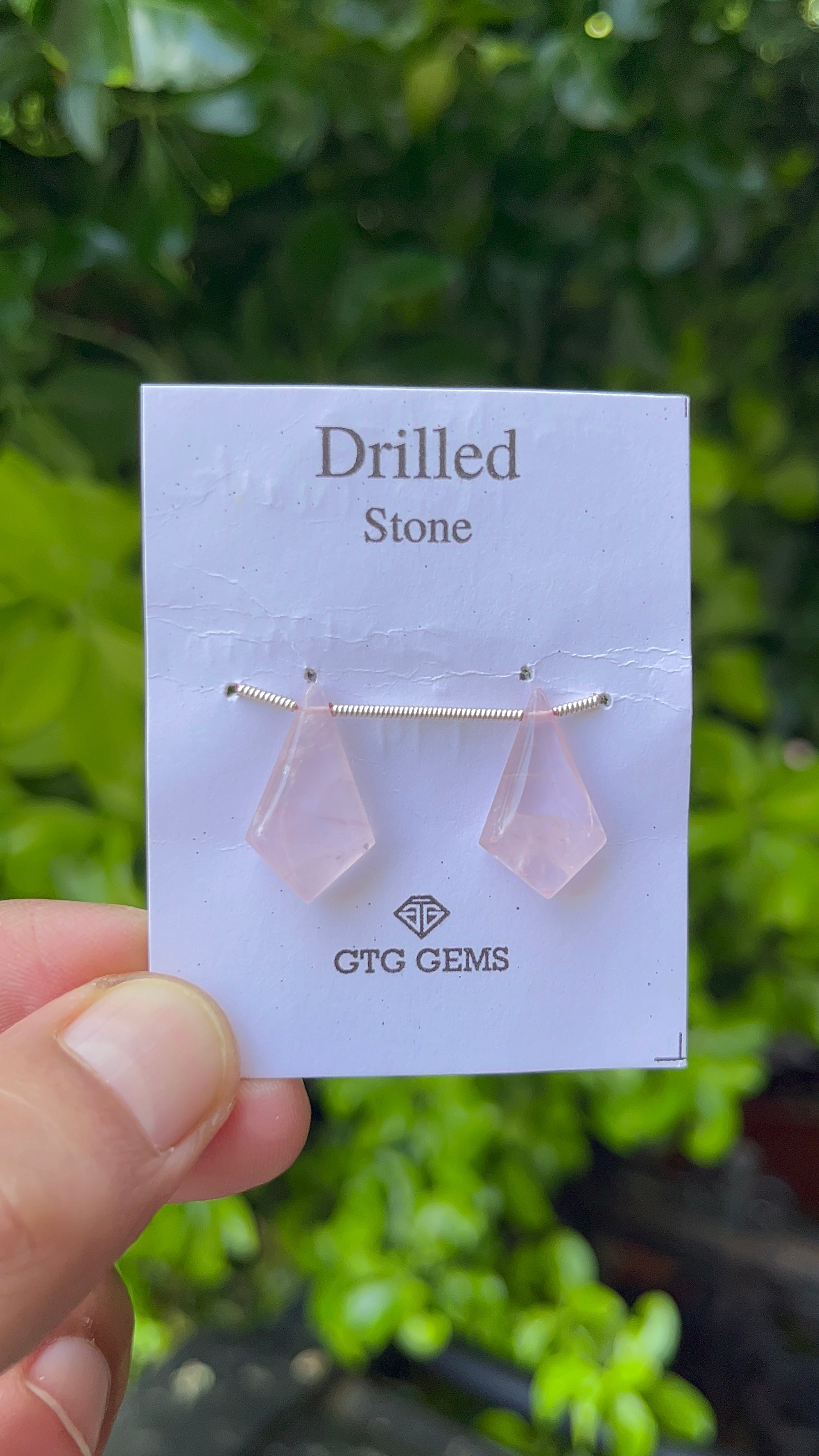Drilled Rose Quartz Matching Pair 20x 12mm Approximately 12 Carat
