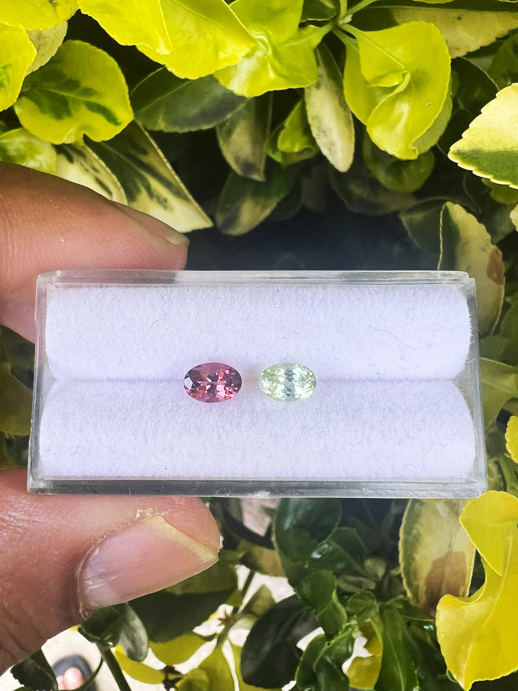 Natural Faceted Tourmaline 6.1 x 4.2 x 3.3mm , Approximately 1.05 Carat