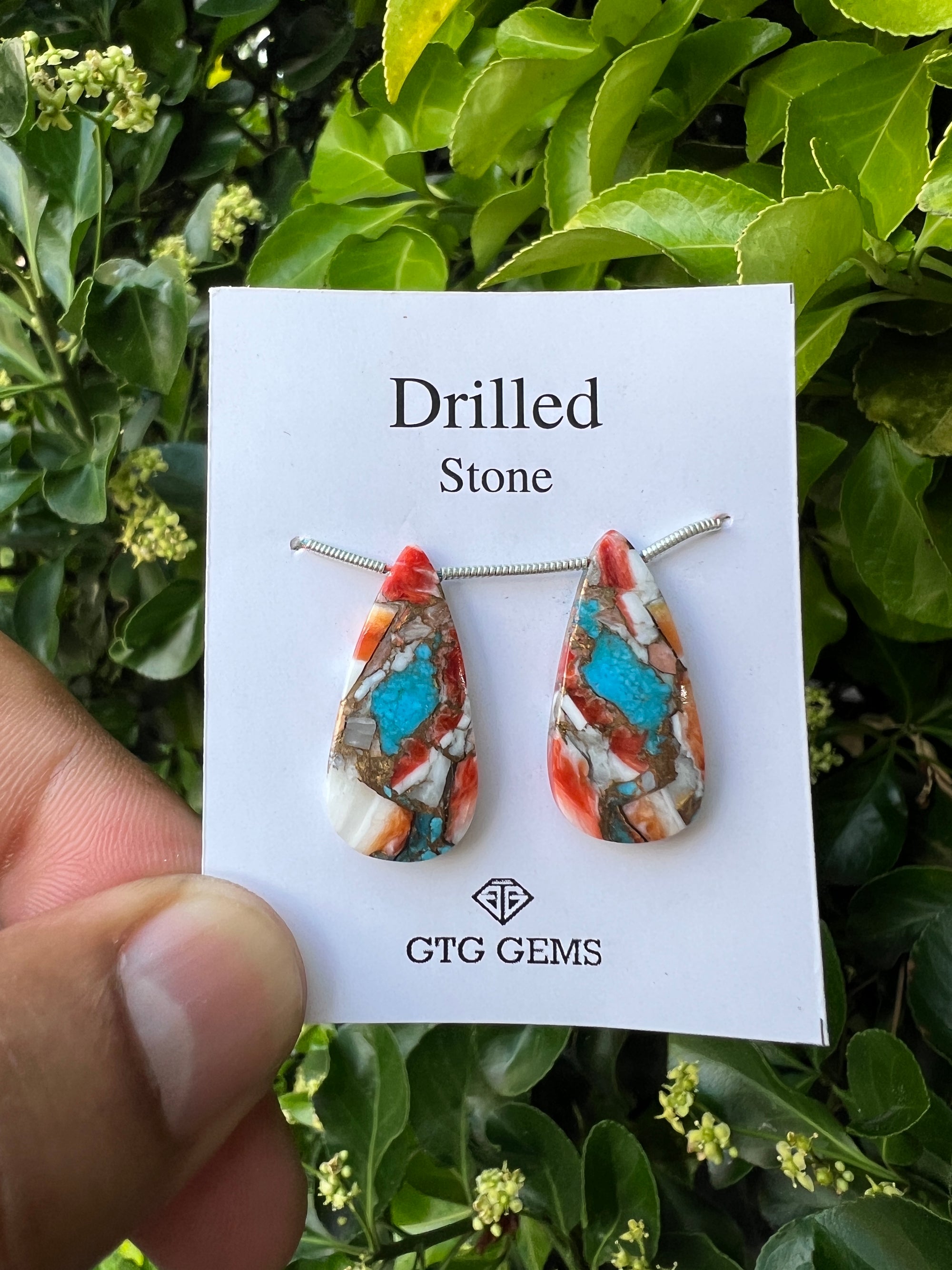 Drilled Oyster Turquoise, Matching pair 26x12 mm Approximately 21 Carat (GTG-DOT-20)