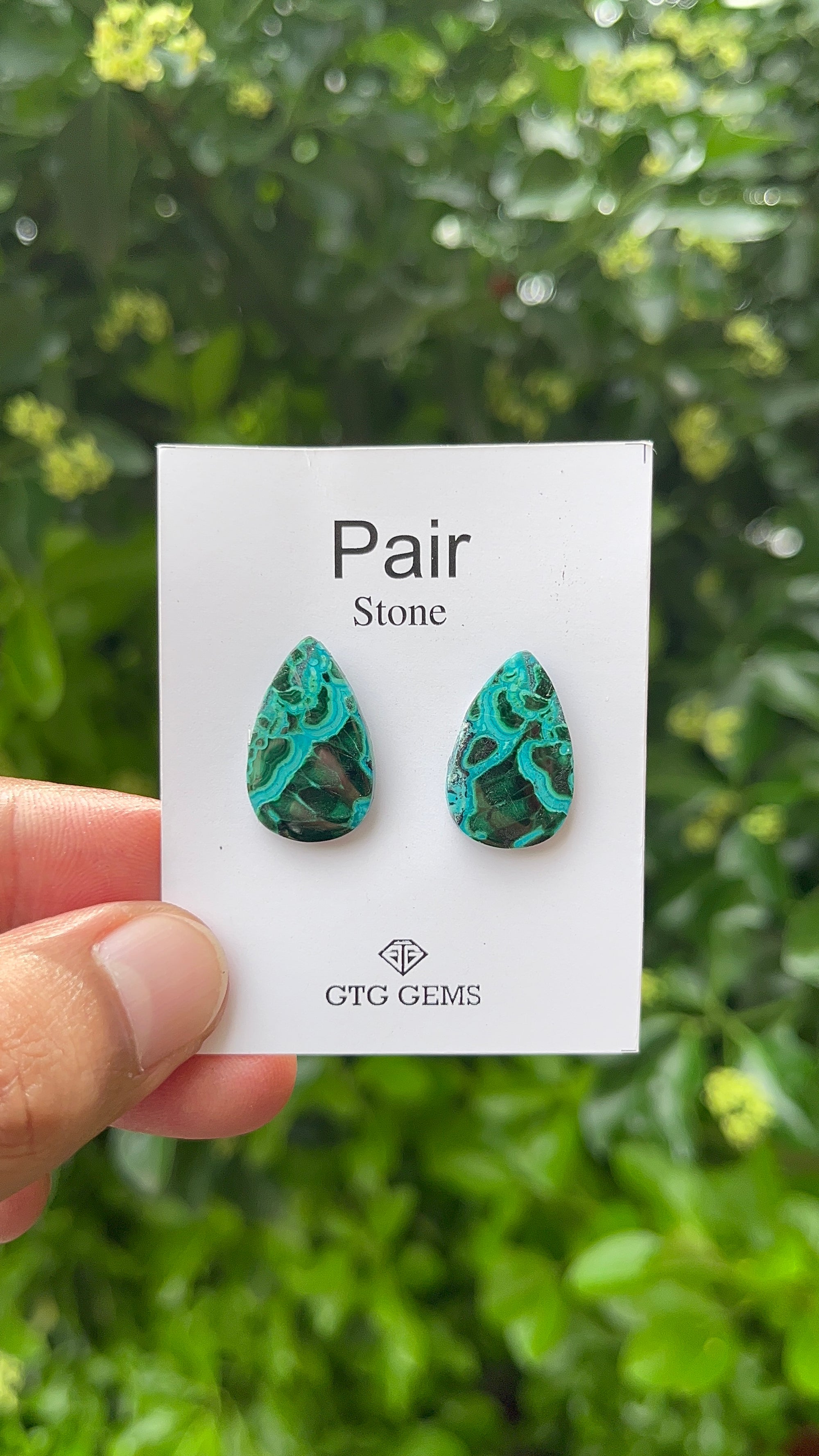 Chrysocolla Malachite, Cabochon Matching Pair 21x13 mm, Approximately 16.50 carat (GTG-MCM-12)