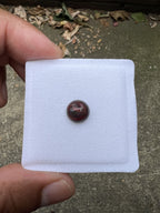 Ethiopian Black Opal 10.04mm Approximately 2.10 Carat