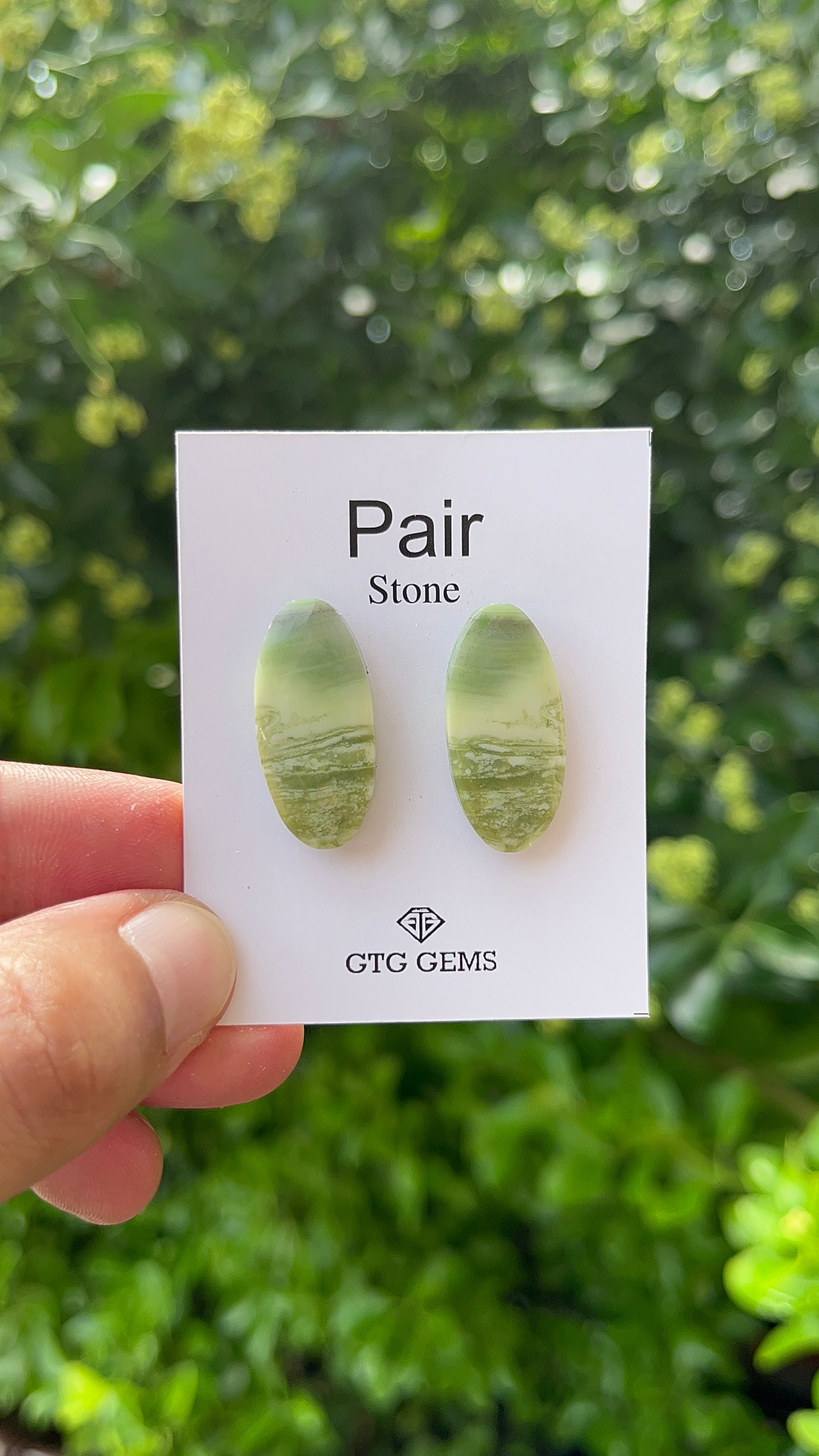 Serpentine Cabochon Matching Pair 27x12mm, Approximately 26.50 carat  (GTG-MSC-1)