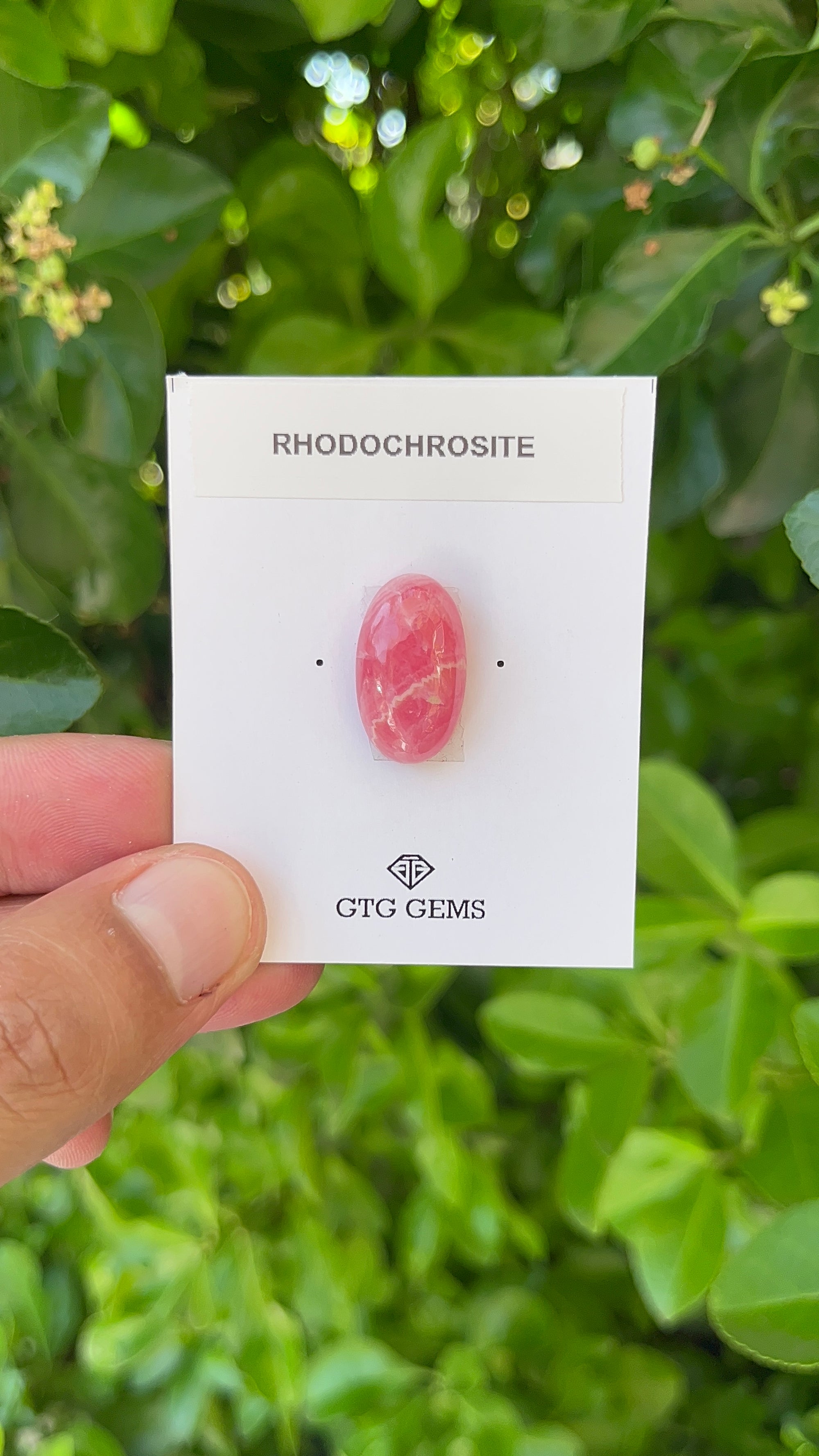 Rhodochrosite Cabochon, Rhodochrosite 20x12 mm, Approximately 18.08 carat (GTG-RCH-44)