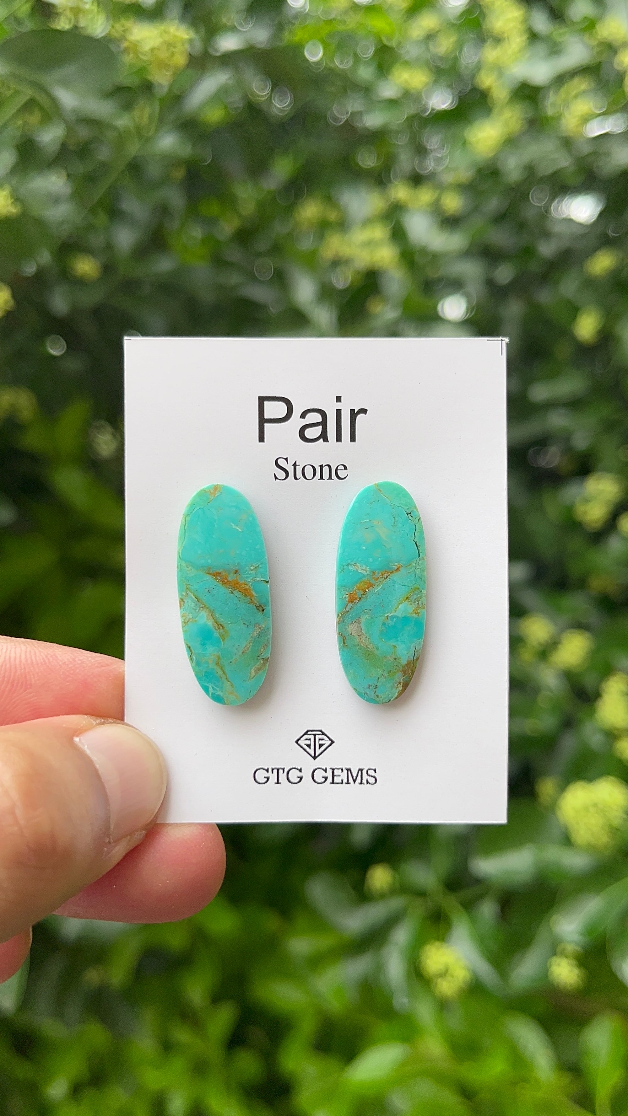 American Turquoise, Cabochon Matching Pair 29x12mm,  Approximately 20 Carat (GTG-MAT-1)