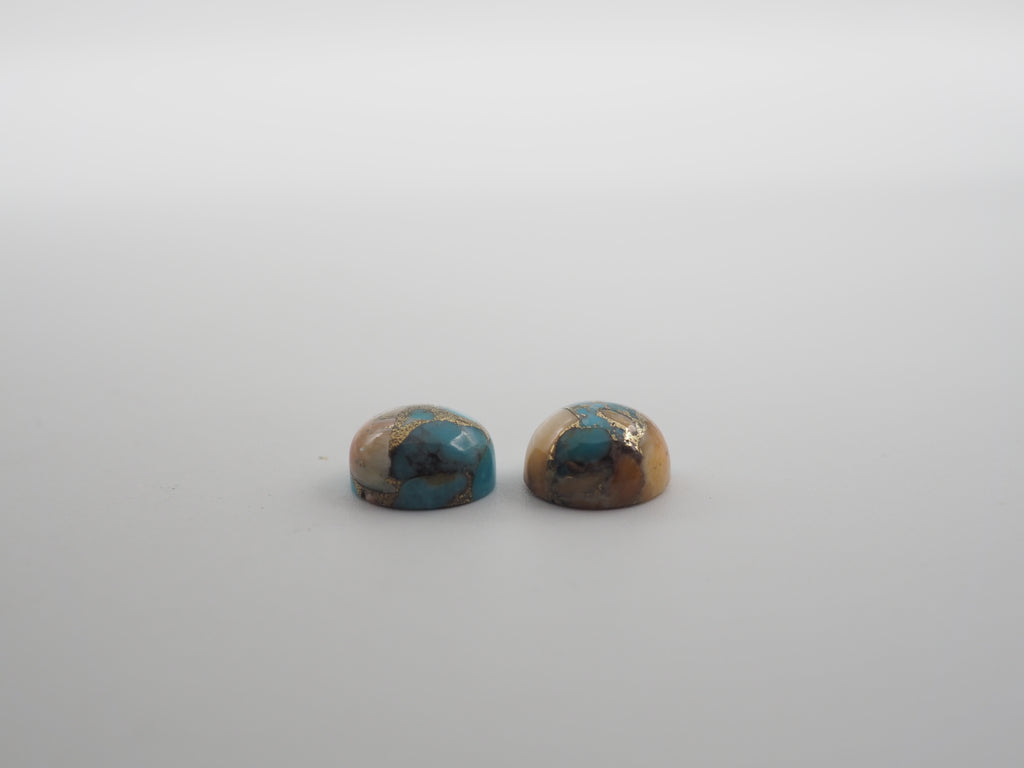 Oyster Copper Turquoise Cabochon Round 9 mm Approximately 6 Carat (GTG-OT-36)