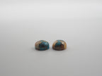 Oyster Copper Turquoise Cabochon Round 9 mm Approximately 6 Carat (GTG-OT-36)