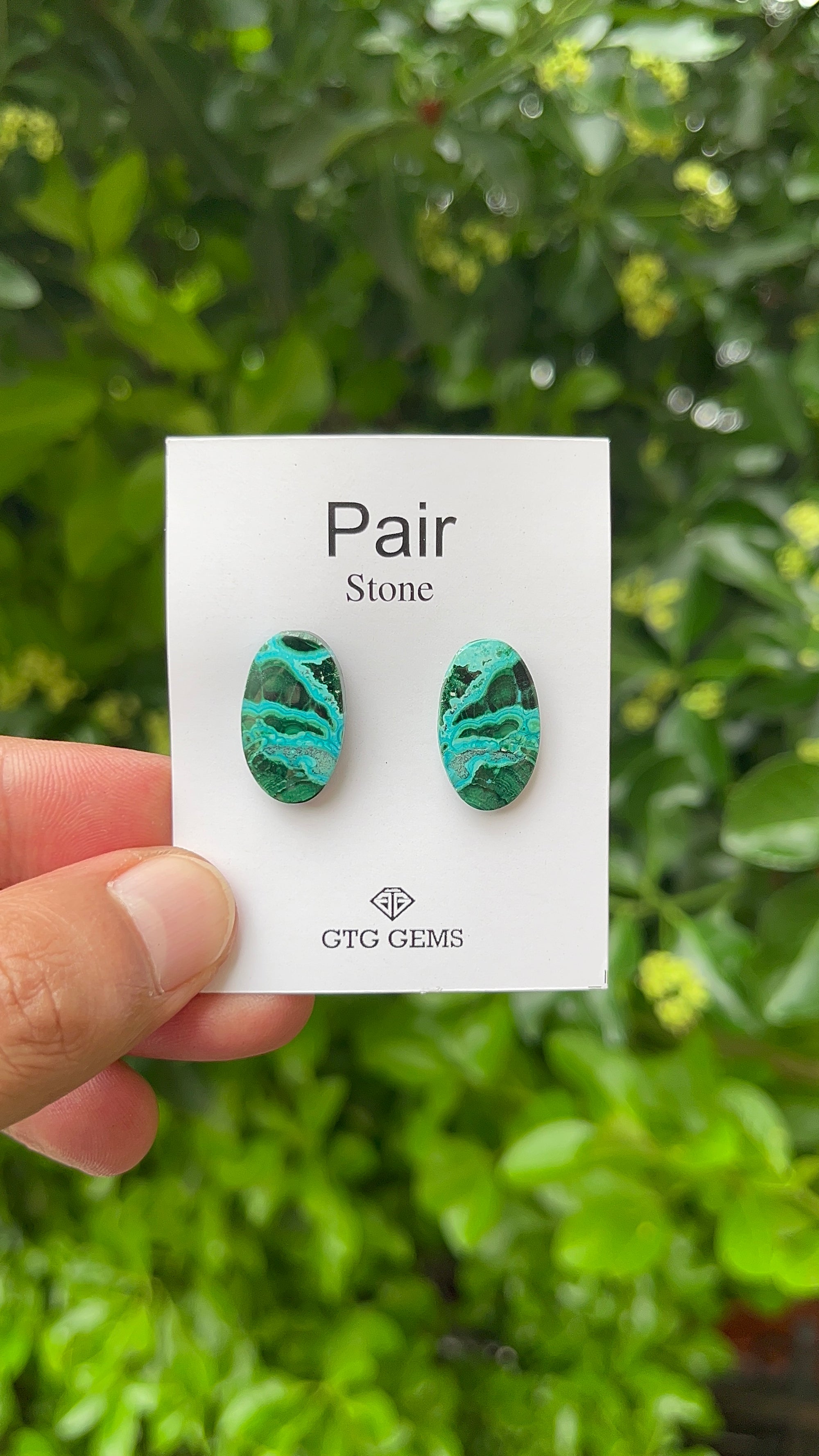 Chrysocolla Malachite, Cabochon Matching Pair 20x12mm, Approximately 14.50 carat (GTG-MCM-7)