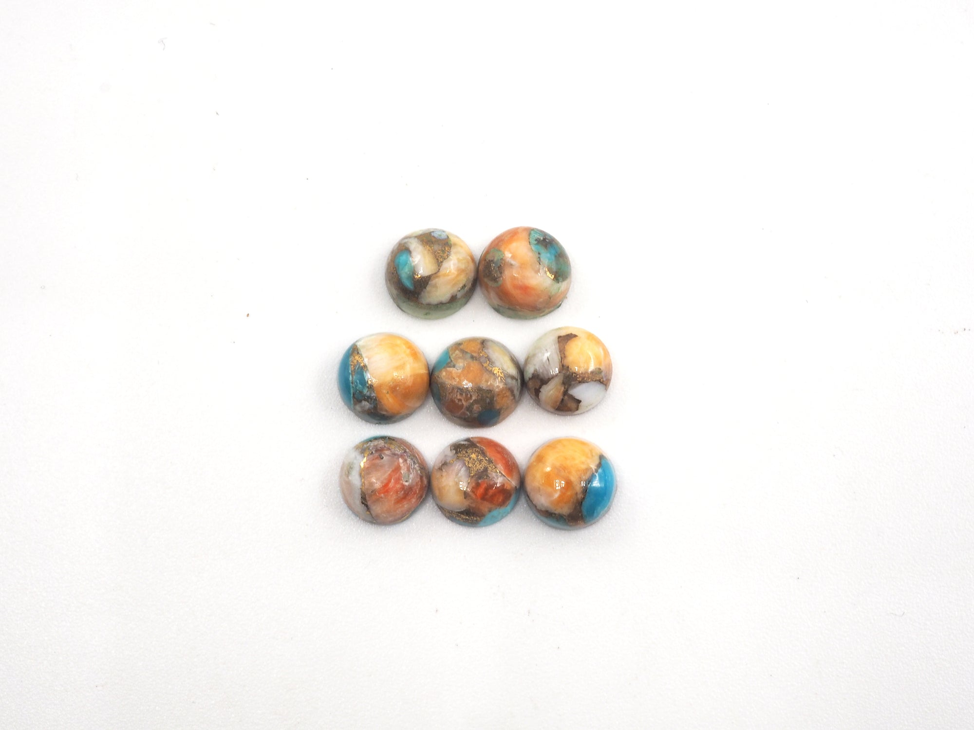 Oyster Copper Turquoise Cabs Round 6.5mm Approximately 7.7 Carat