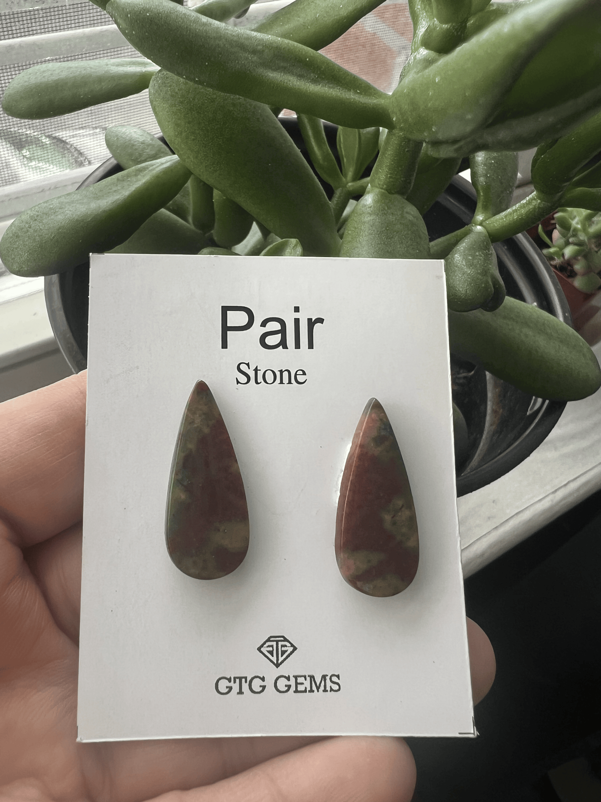 Heliotrope (Blood Stone) Teardrop Shape Matching Pair Cab