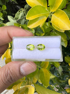 Peridot  Faceted Oval Shape 8x6 mm Matching Pair Approximately 2.48 Carat
