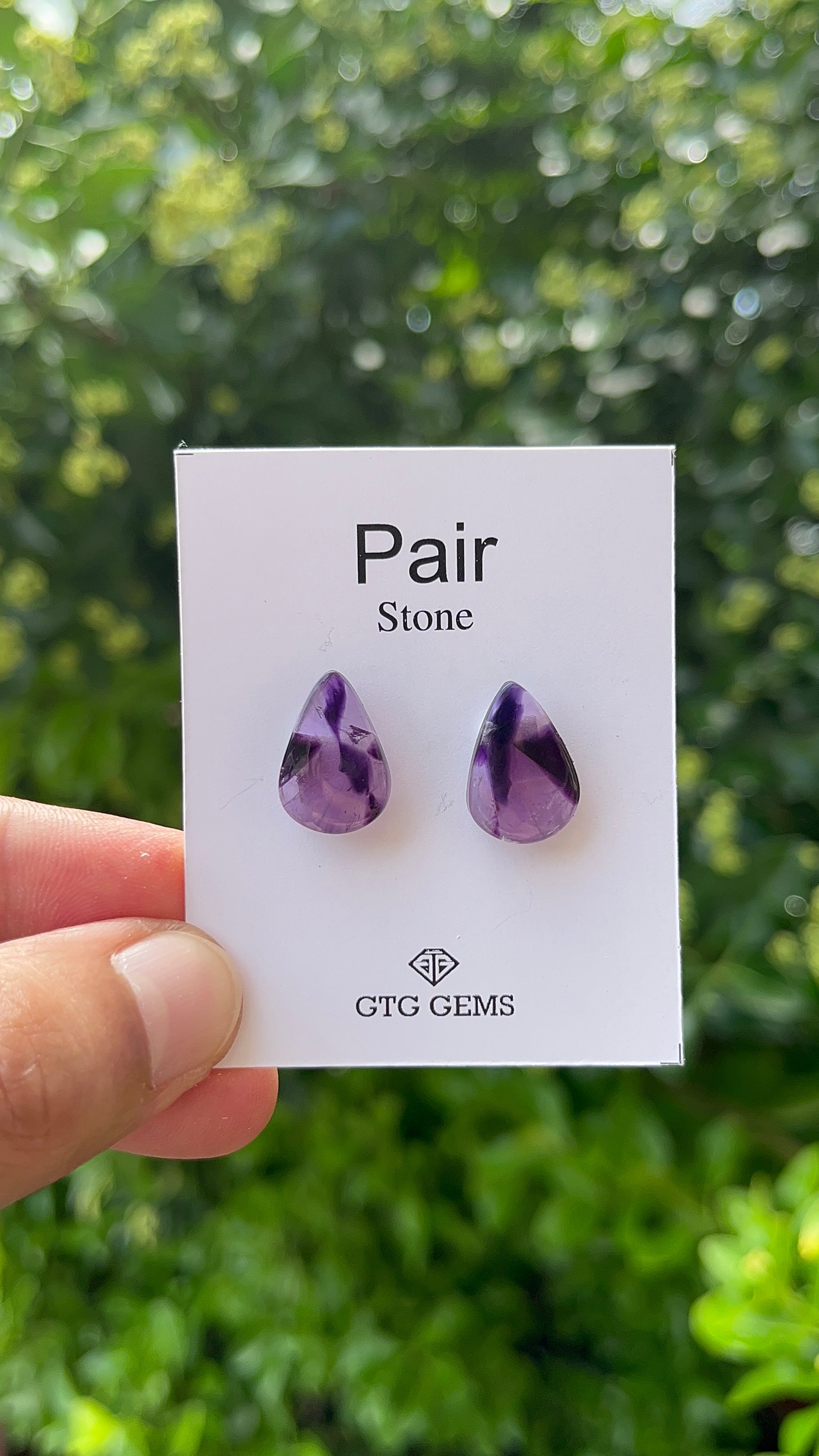 Star Amethyst Matching Pair Cabochon 16 x 11 mm, Approximately 13 Carat (GTG-AM-7)