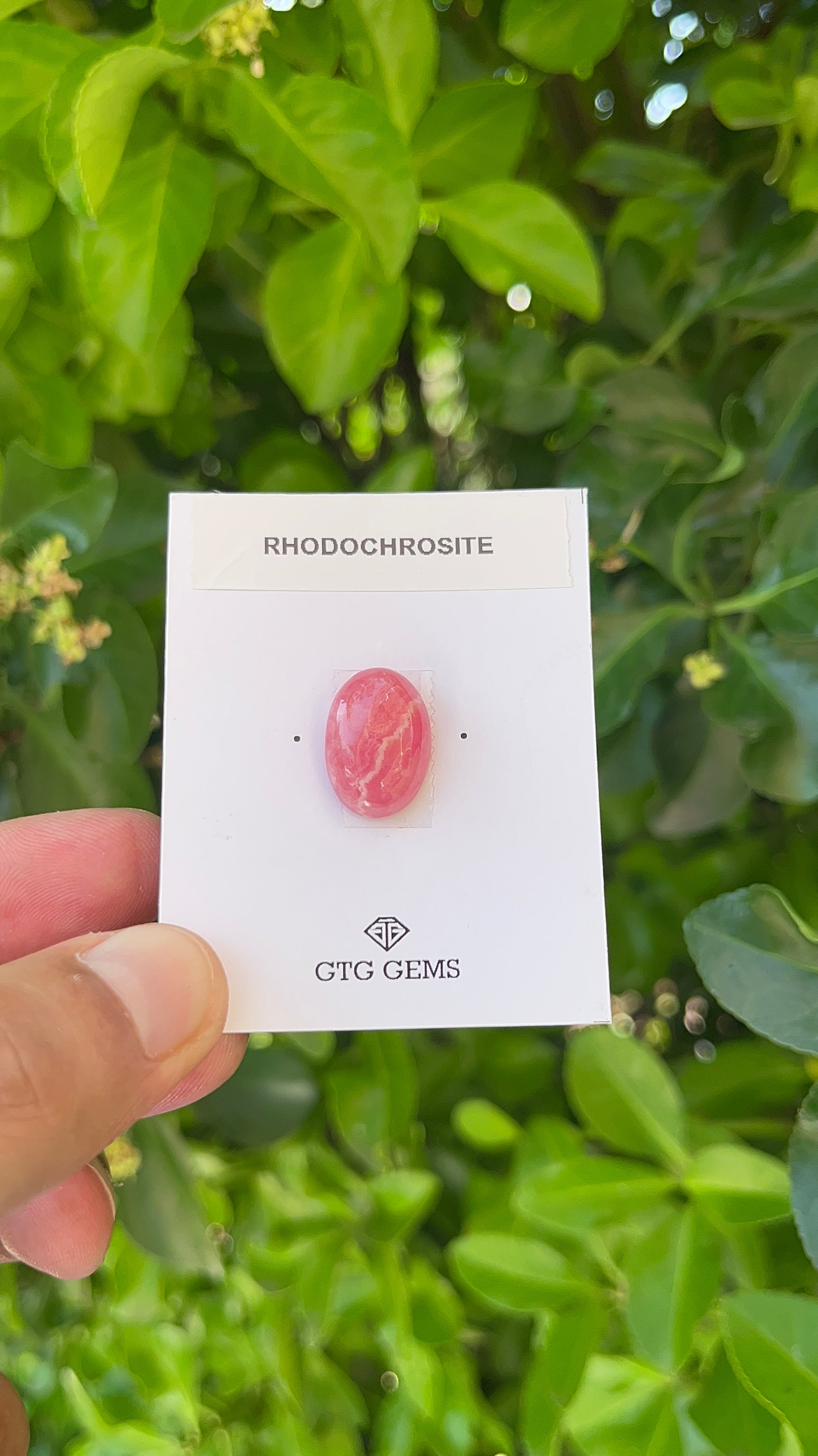 Rhodochrosite Cabochon, Rhodochrosite 18x12 mm, Approximately 15.09 carat (GTG-RCH-37)