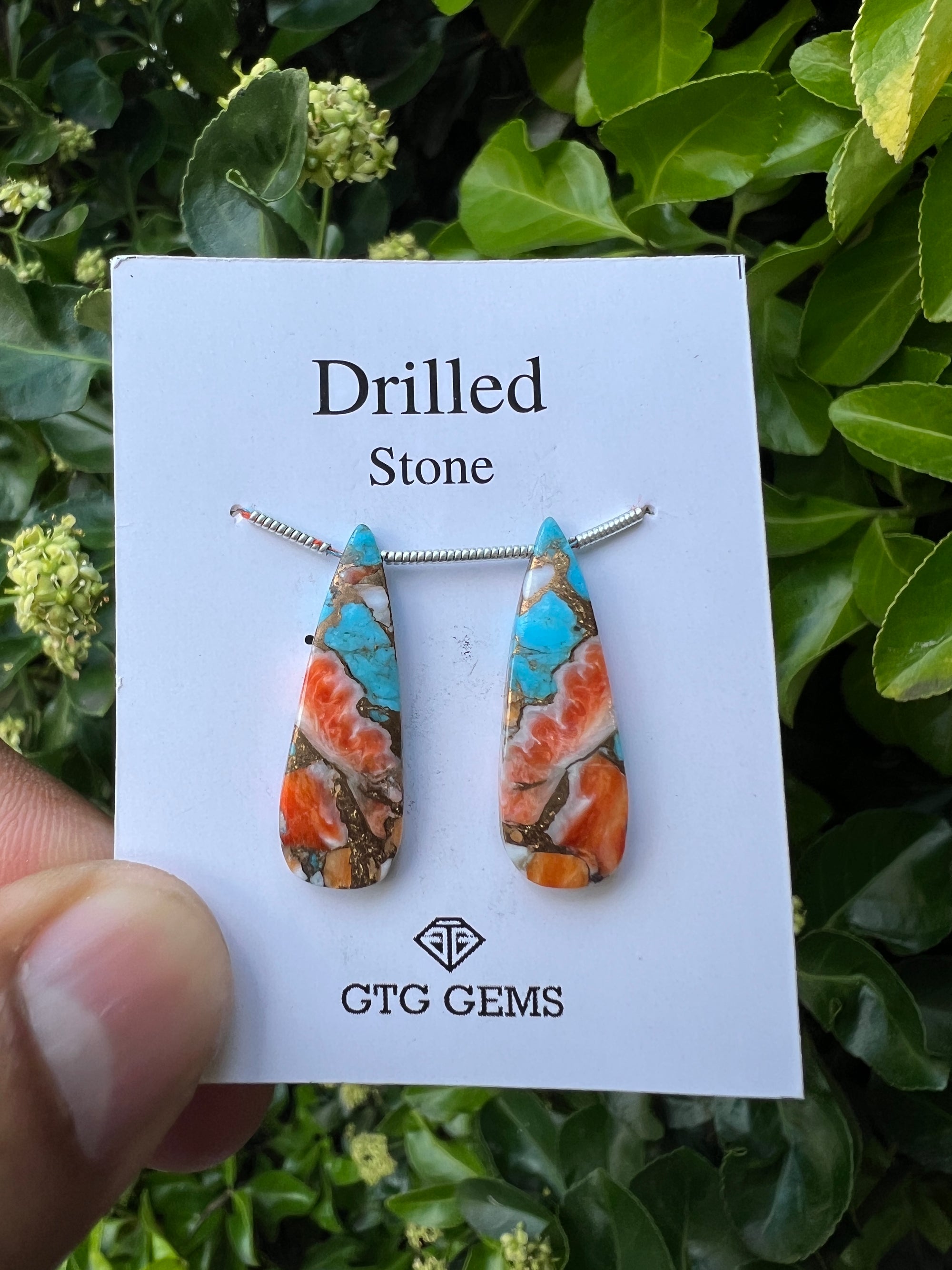 Drilled Oyster Turquoise, Matching pair 27x9 mm Approximately 15.50 Carat (GTG-DOT-13)