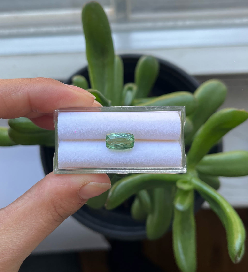 Rectangle shape Faceted  Tourmaline 10.54x6.3x4.7mm Single Piece Approximately 2.66 Carat