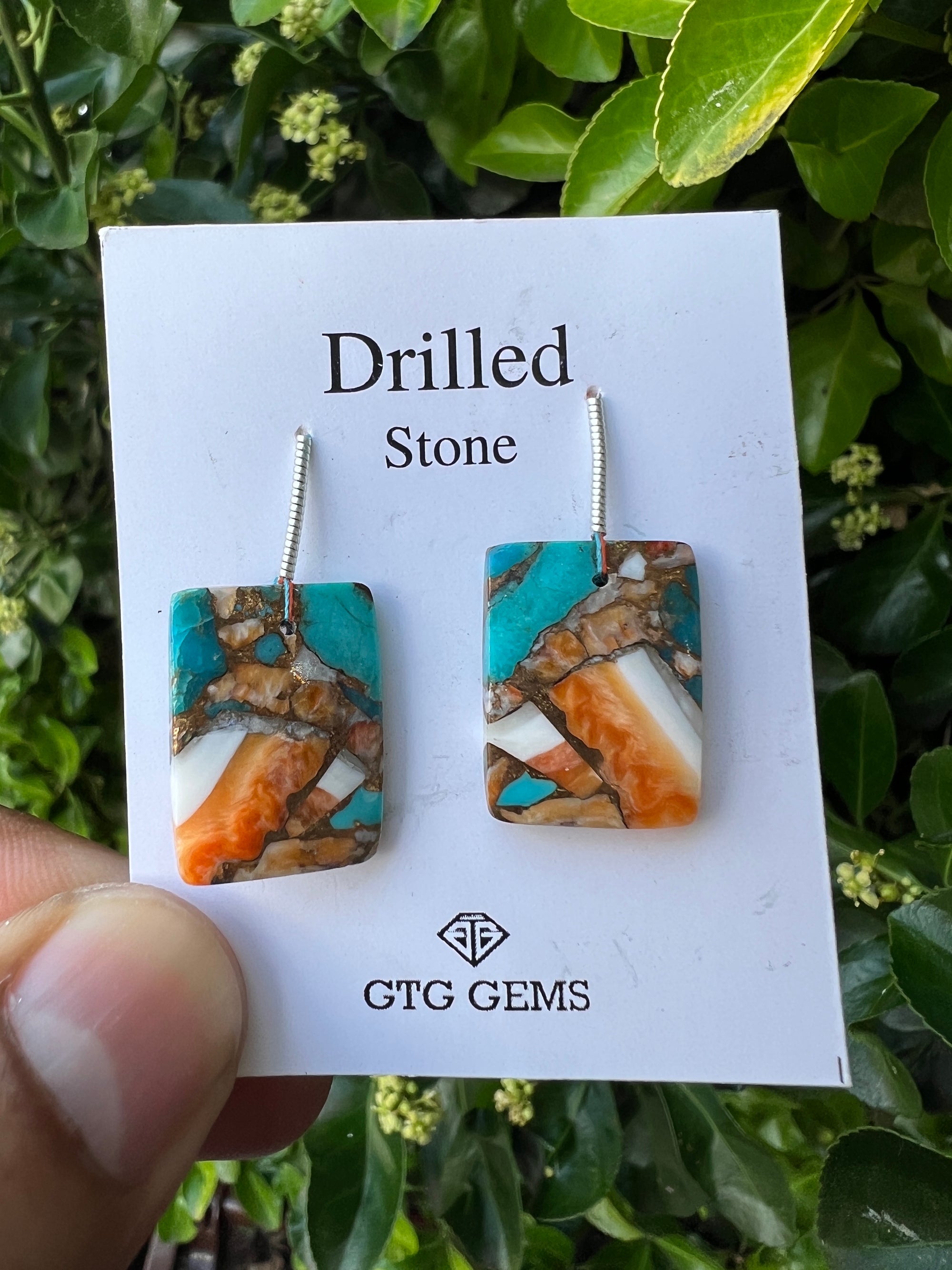 Drilled Oyster Turquoise, Matching pair 20x15 mm Approximately 27 Carat (GTG-DOT-21)