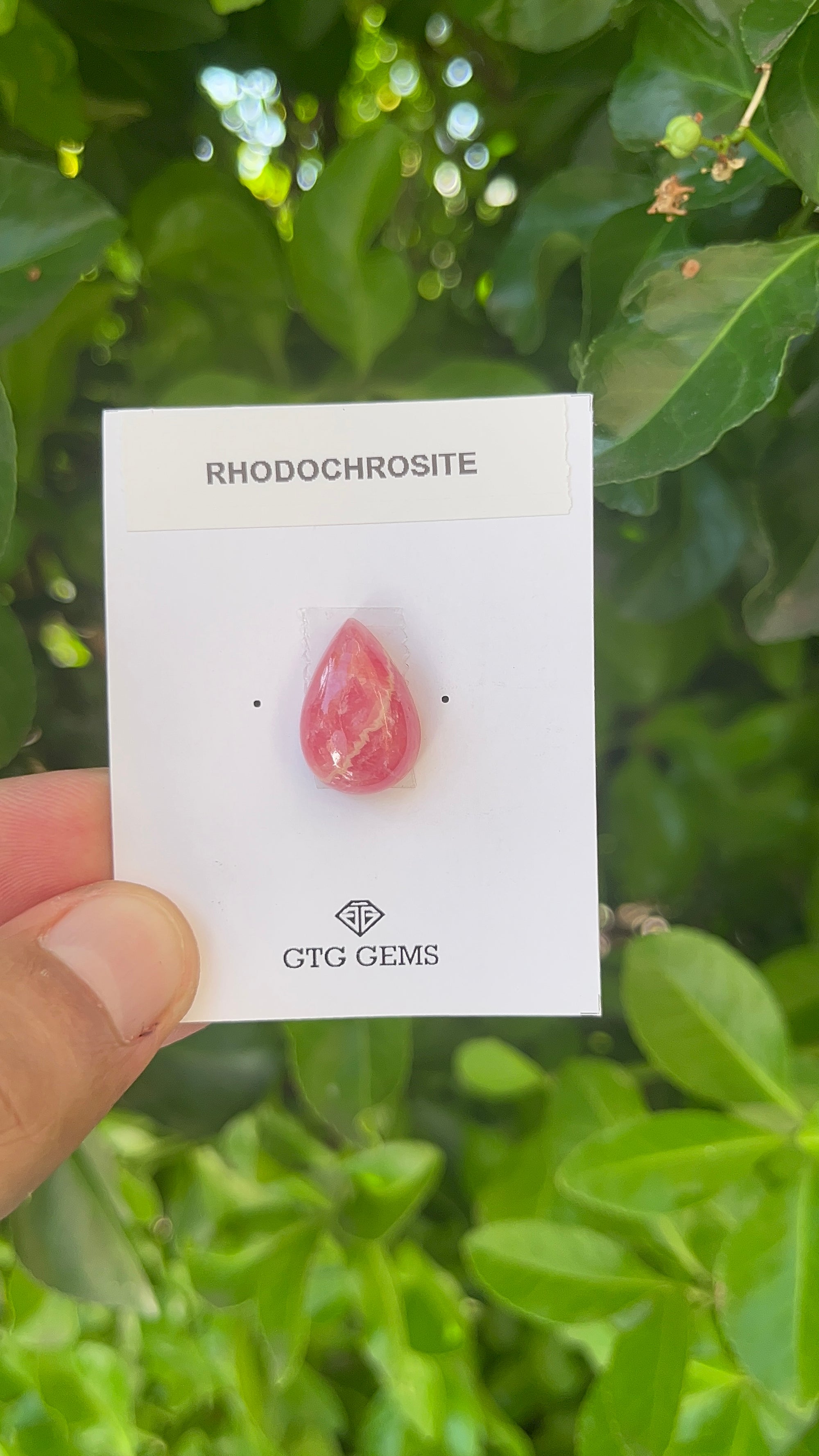 Rhodochrosite Cabochon, Rhodochrosite 18x12.5 mm, Approximately 17 carat (GTG-RCH-46)