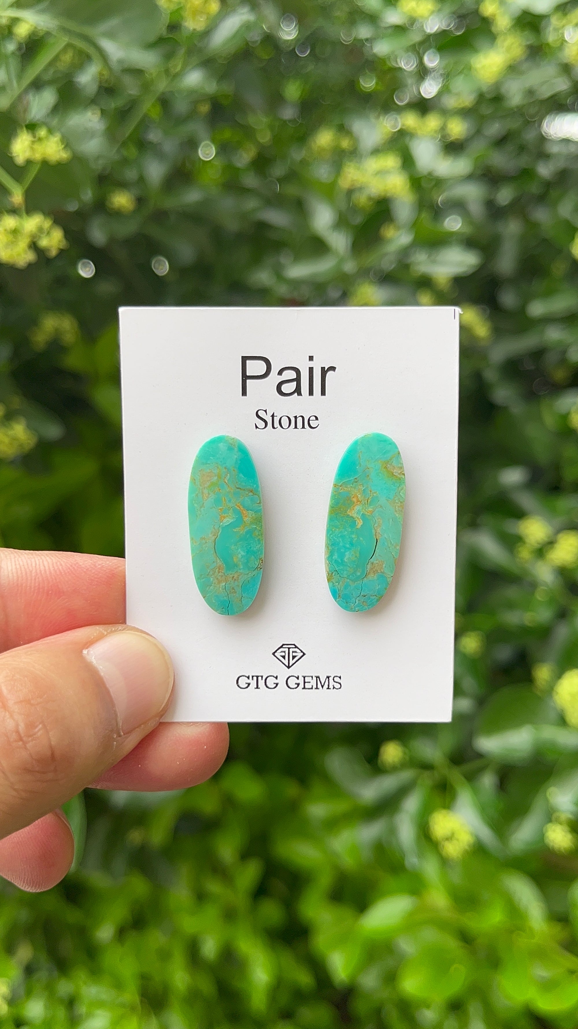 American Turquoise, Cabochon Matching Pair 27x11mm,  Approximately 21 Carat (GTG-MAT-2)