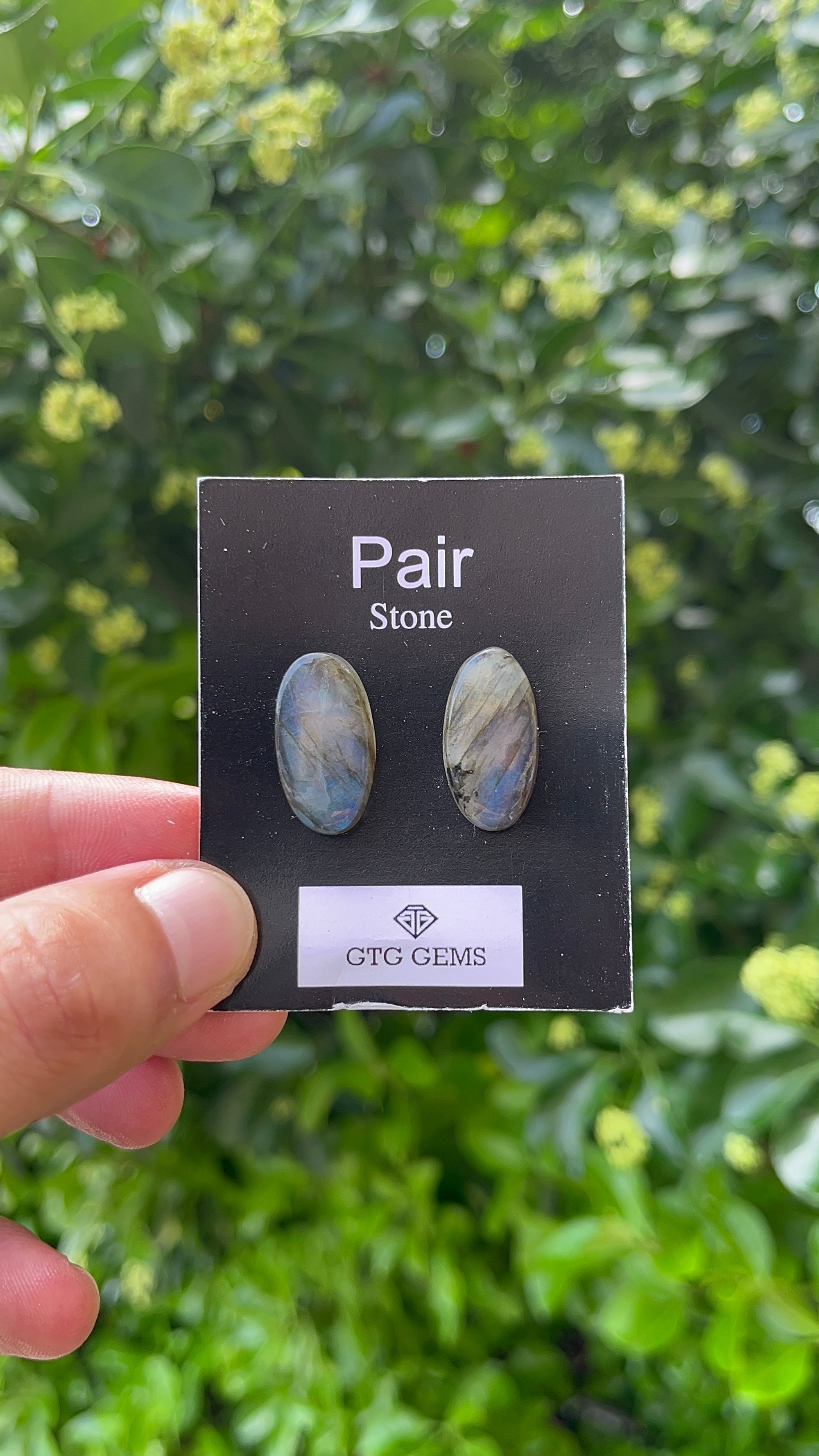 Matching Pair  Labradorite, Cabochon 22x12mm Approximately 20 Carat (GTG-MLA-5)