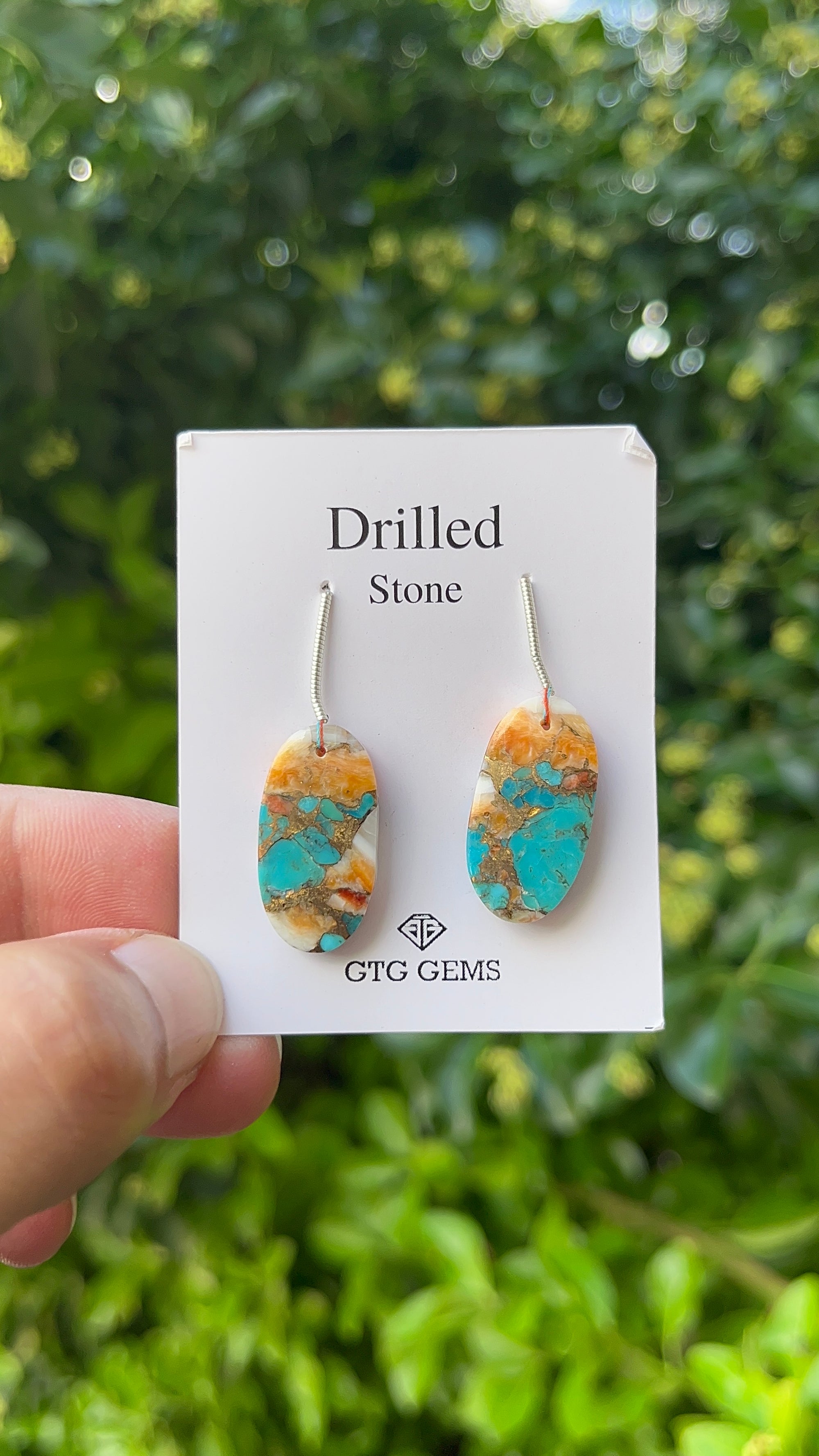 Drilled Oyster Turquoise, Matching pair 24x12 mm Approximately 25 Carat (GTG-DOT-32)