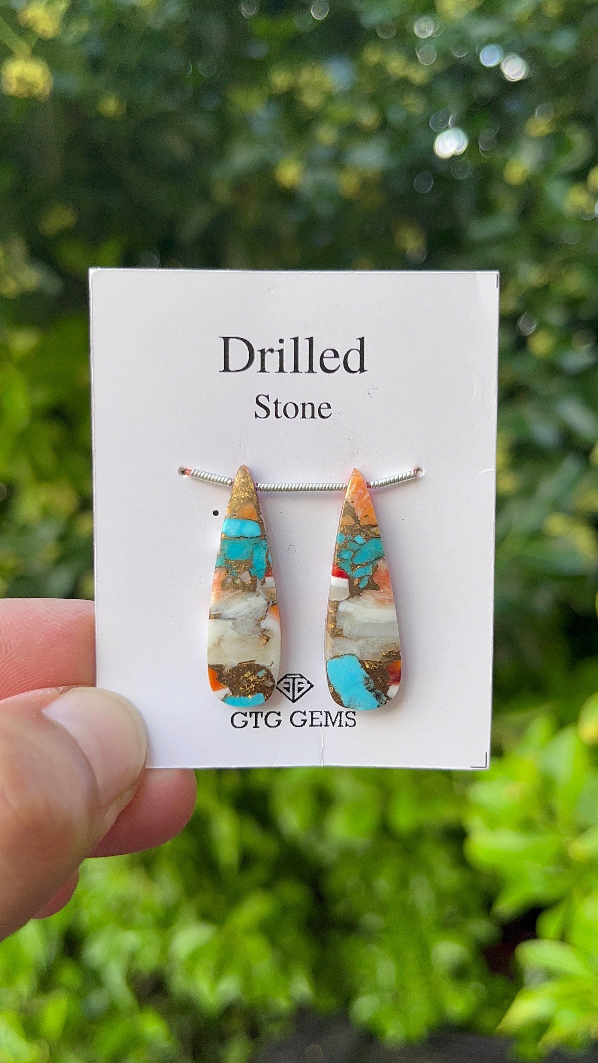Drilled Oyster Turquoise, Matching pair 31x9 mm Approximately 19.50 Carat (GTG-DOT-29)
