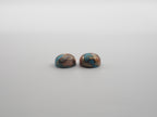 Oyster Copper Turquoise Cabochon Round 9 mm Approximately 6 Carat (GTG-OT-38)