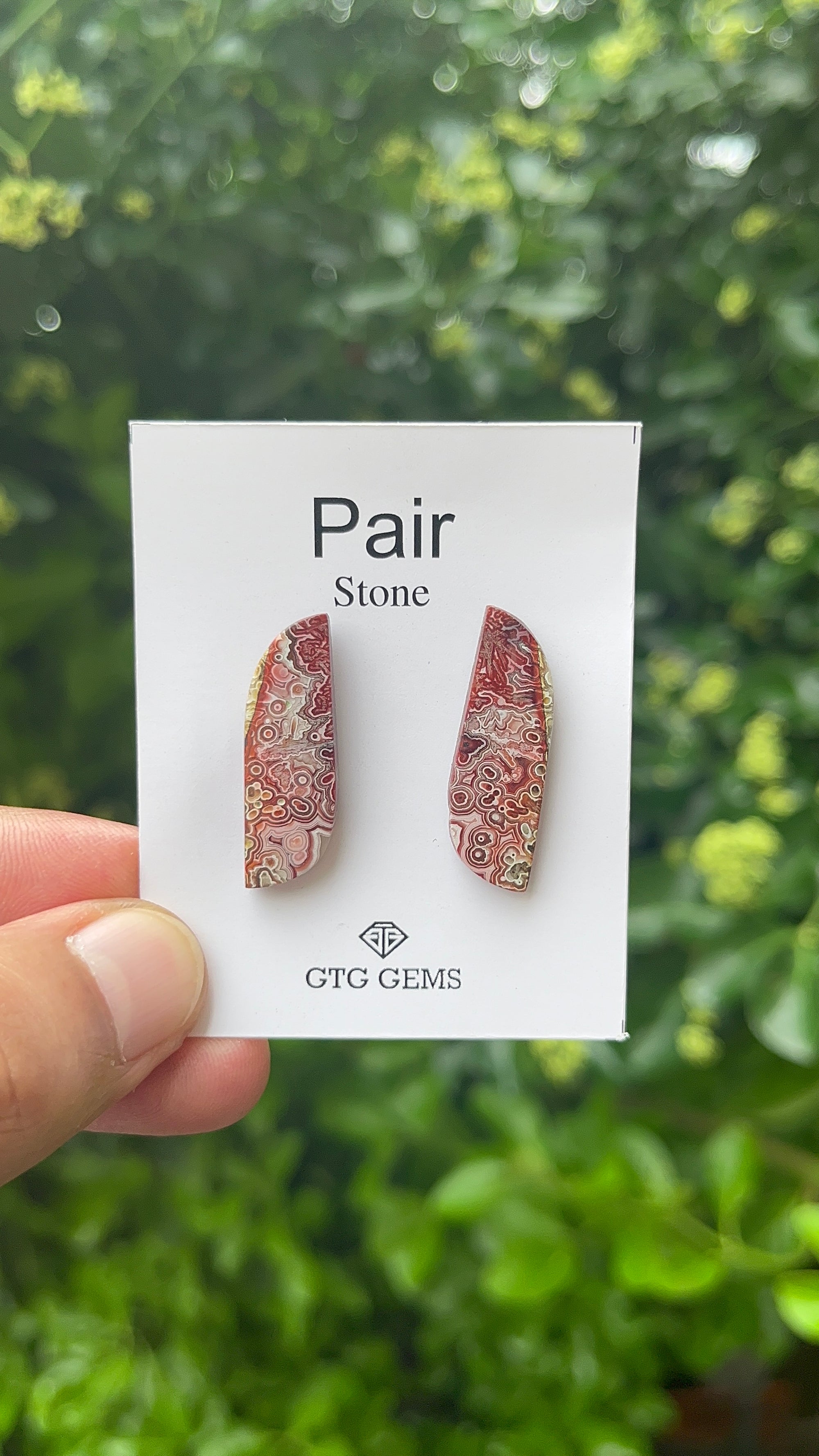 Crazy Lace Agate, Cabochon Matching pair 29x10 mm, Approximately 20 carat (GTG-MCLA-5)