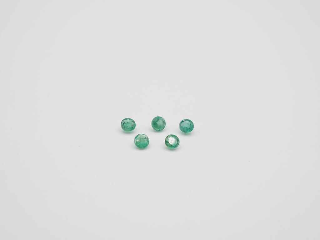 Zambian Emerald Round Shape 2.5mm  Approximately 0.30 Carat