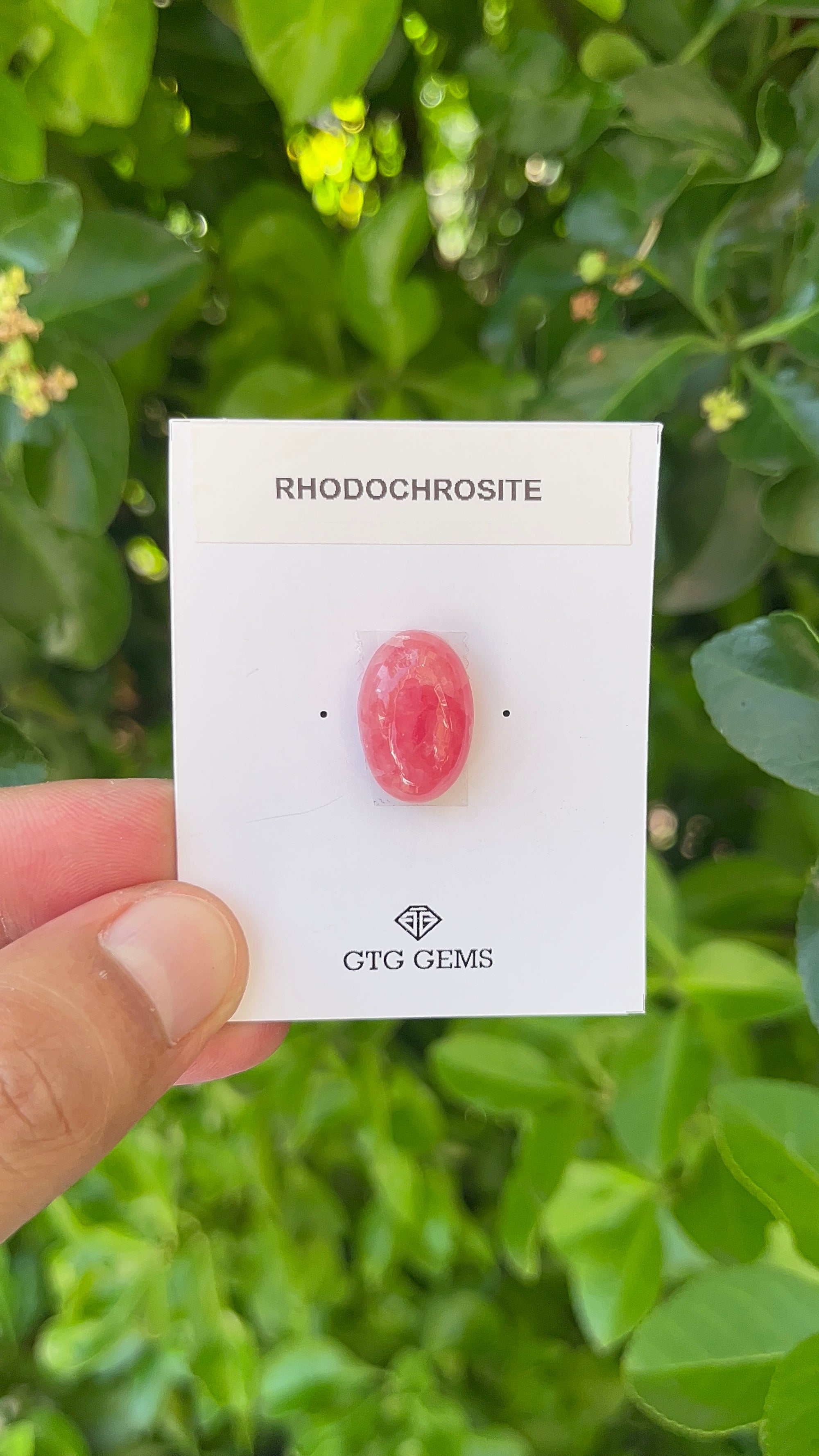 Rhodochrosite Cabochon, Rhodochrosite 18x12 mm, Approximately 16.80 carat (GTG-RCH-43)