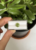 Moissanite Faceted Round Shape 8mm Approximately 1.67 Carat