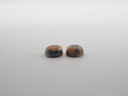 Oyster Copper Turquoise Cabochon Round 9 mm Approximately 6 Carat (GTG-OT-42)