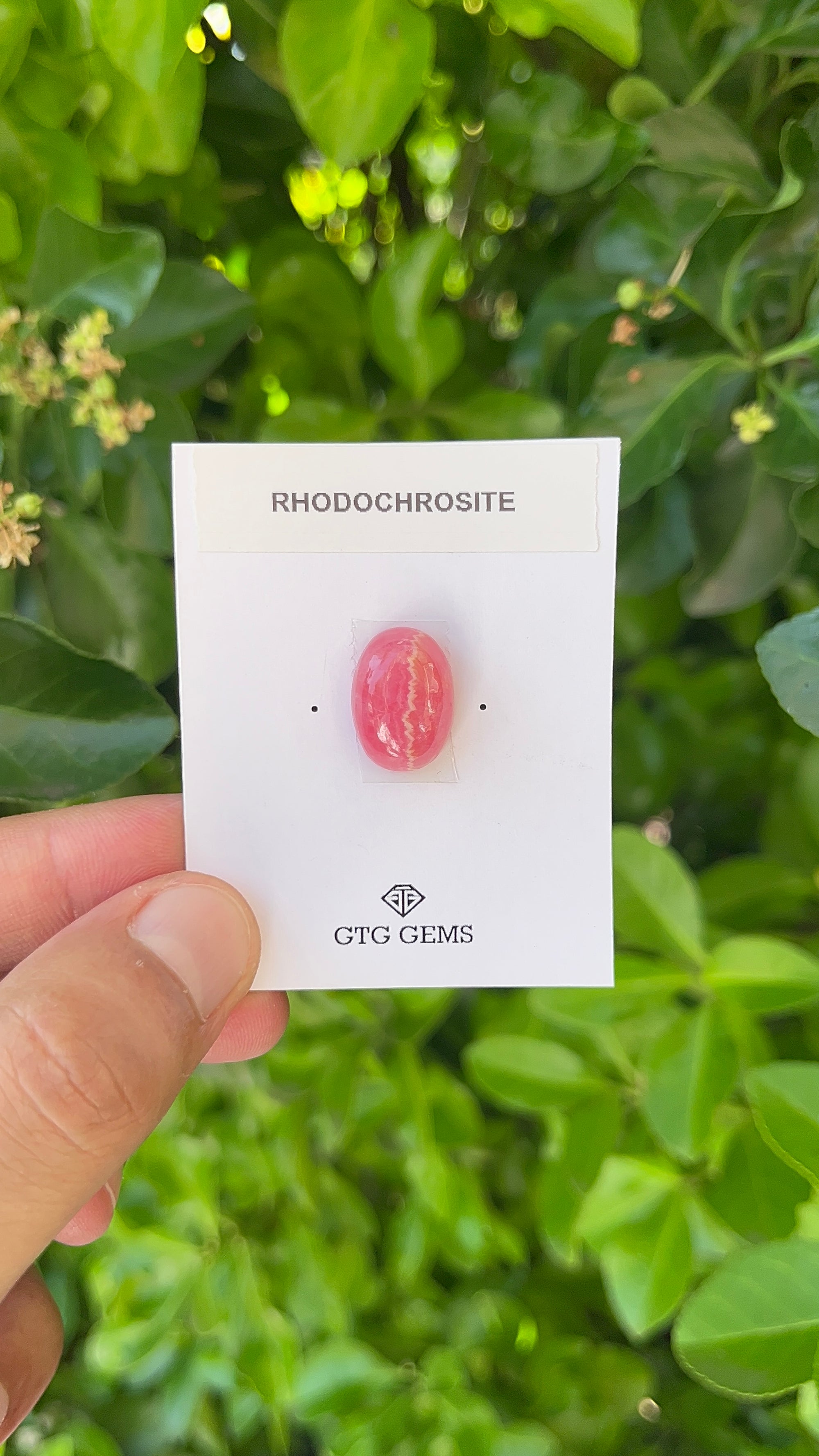 Rhodochrosite Cabochon, Rhodochrosite 17x12 mm, Approximately 15.37 carat (GTG-RCH-19)