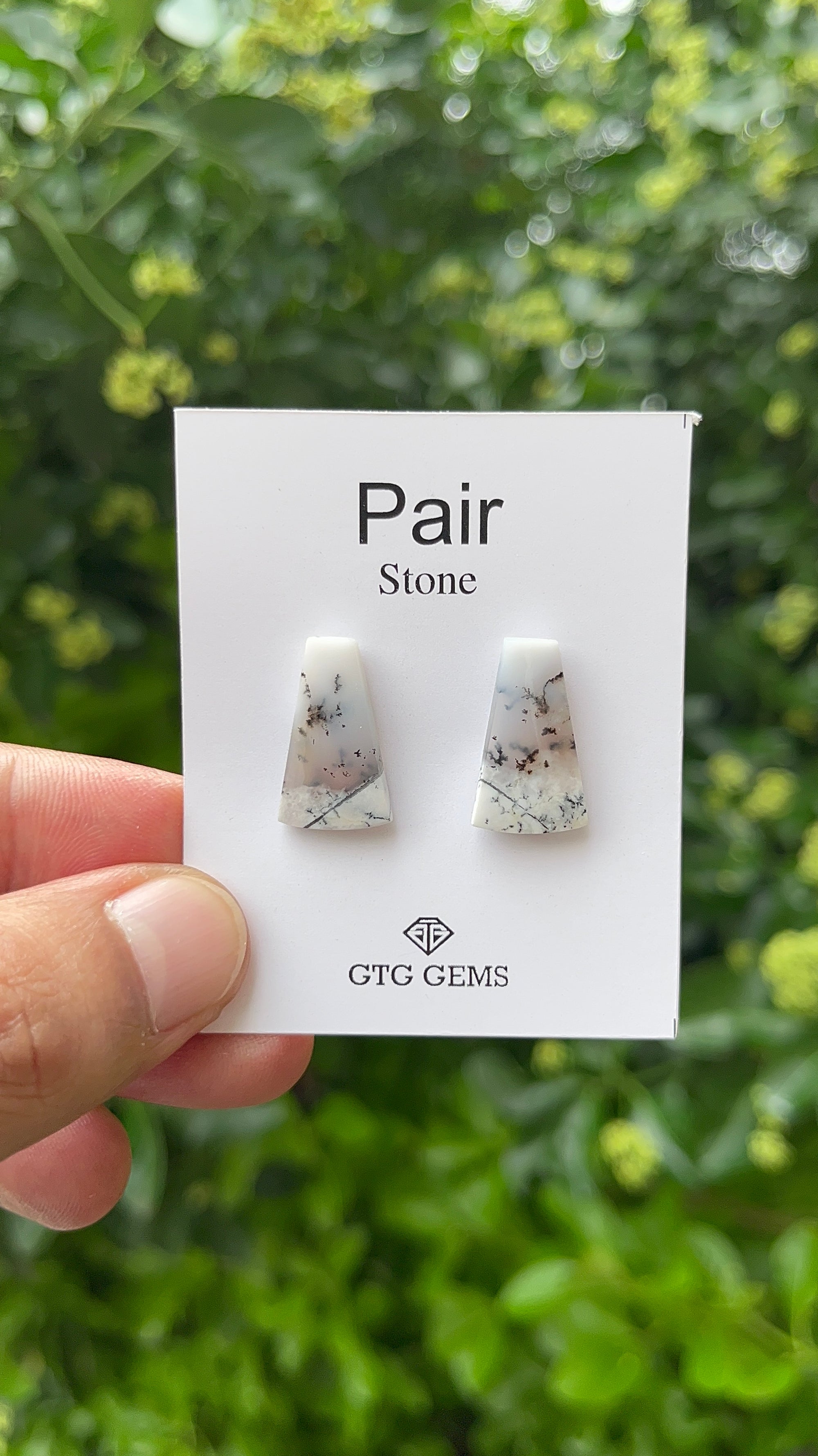 Dendritic Opal, Cabochon Matching Pair 20x12 mm, Approximately 12.50 carat (GTG-MDO-11)