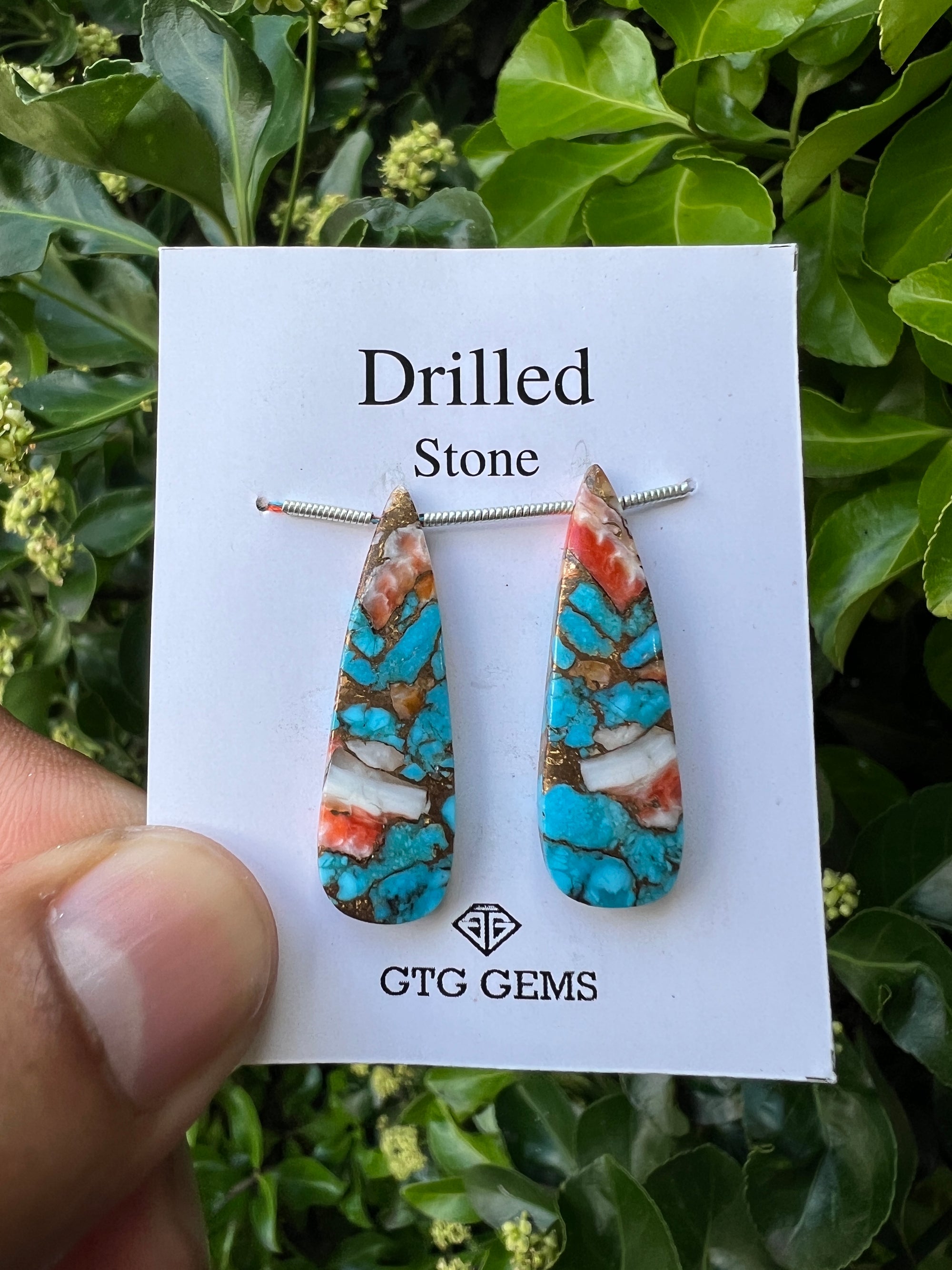 Drilled Oyster Turquoise, Matching pair 33x10 mm Approximately 23.50 Carat (GTG-DOT-25)
