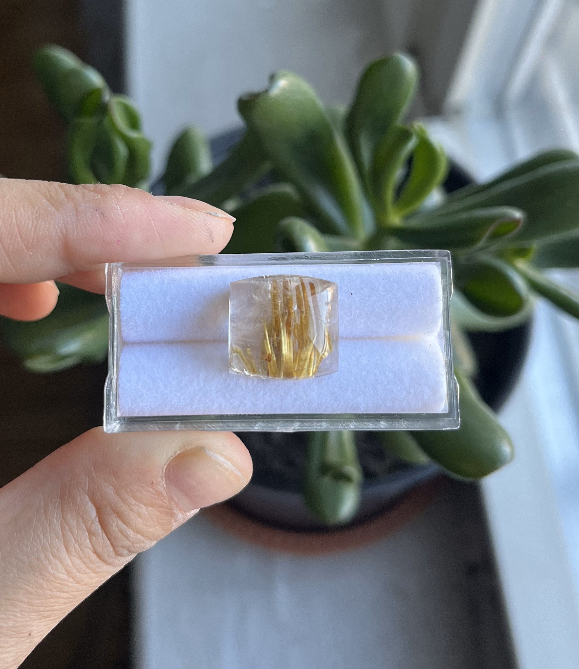 Rutilated Quartz Square  shape  15x14.5mm Approximately 17.04 Carat