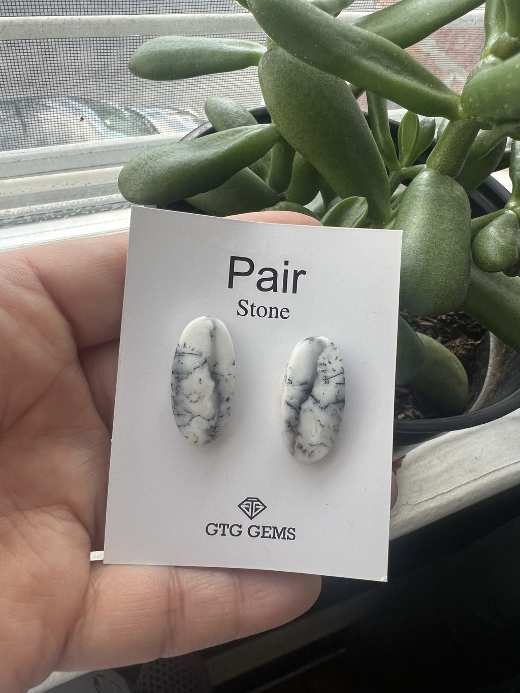 Natural Dendritic Opal Oval Shape Matching Pair Cab
