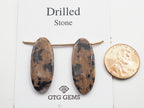 Drilled Honey Dendrite Opal 30x12mm Approximately 21 Carat