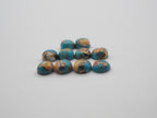 Oyster Copper Turquoise Cabs Oval 10x8mm Approximately 5.4 Carat