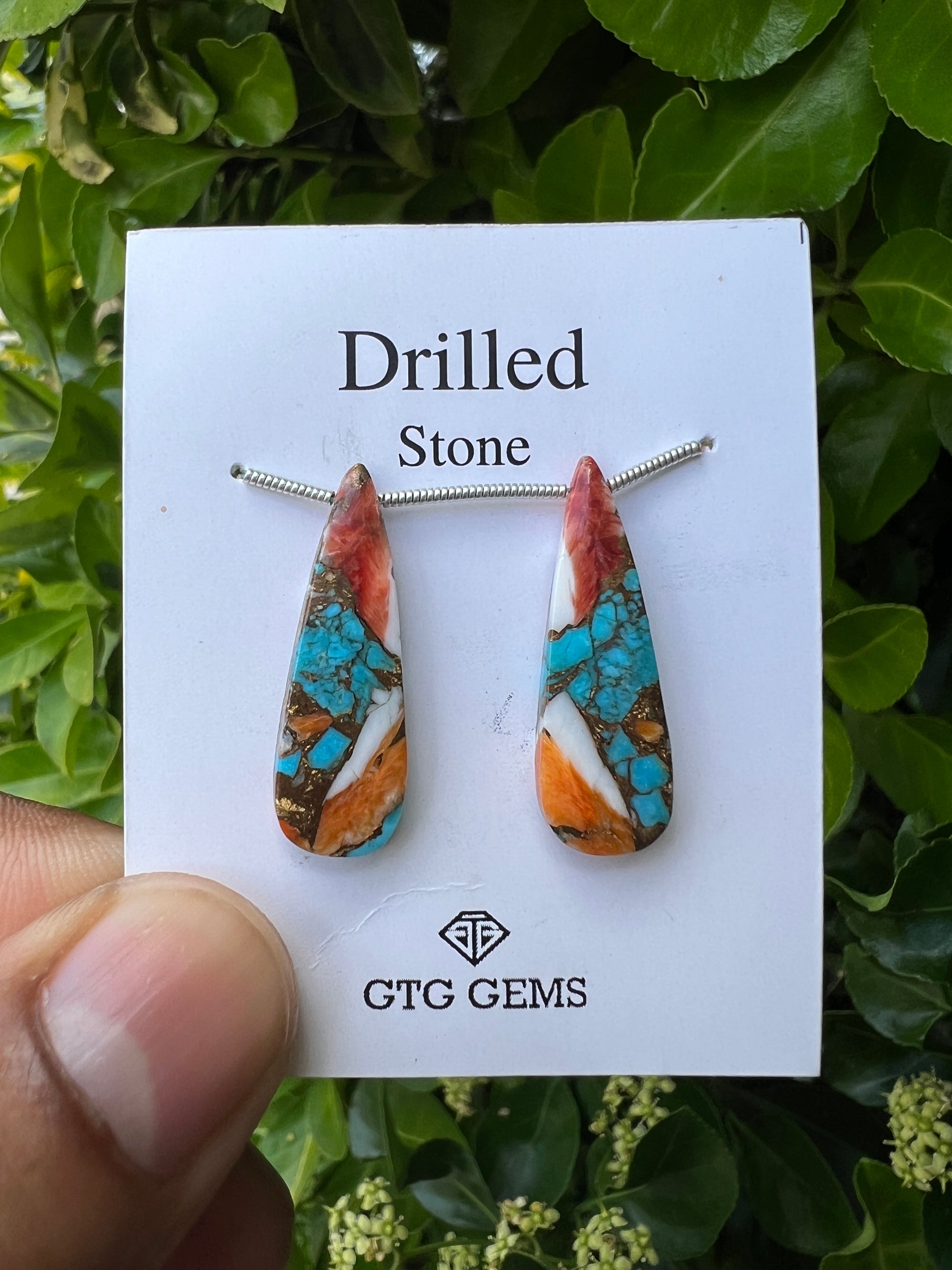 Drilled Oyster Turquoise, Matching pair 28x9 mm Approximately 17 Carat (GTG-DOT-19)